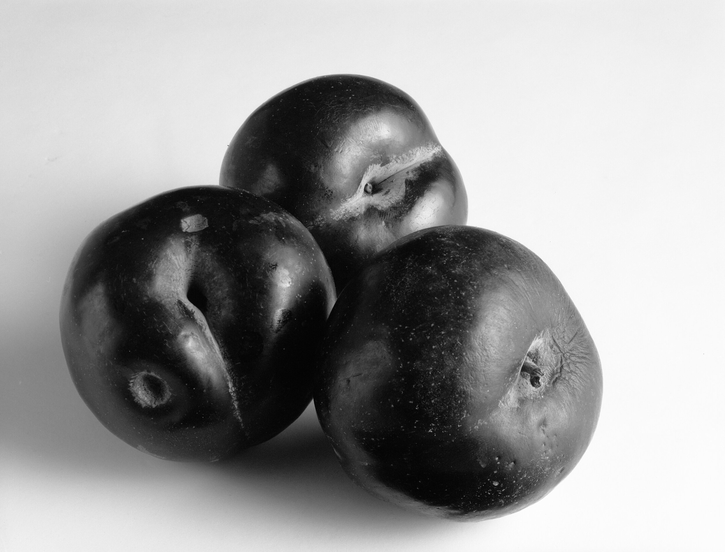 Plums Still Life (date unknown)