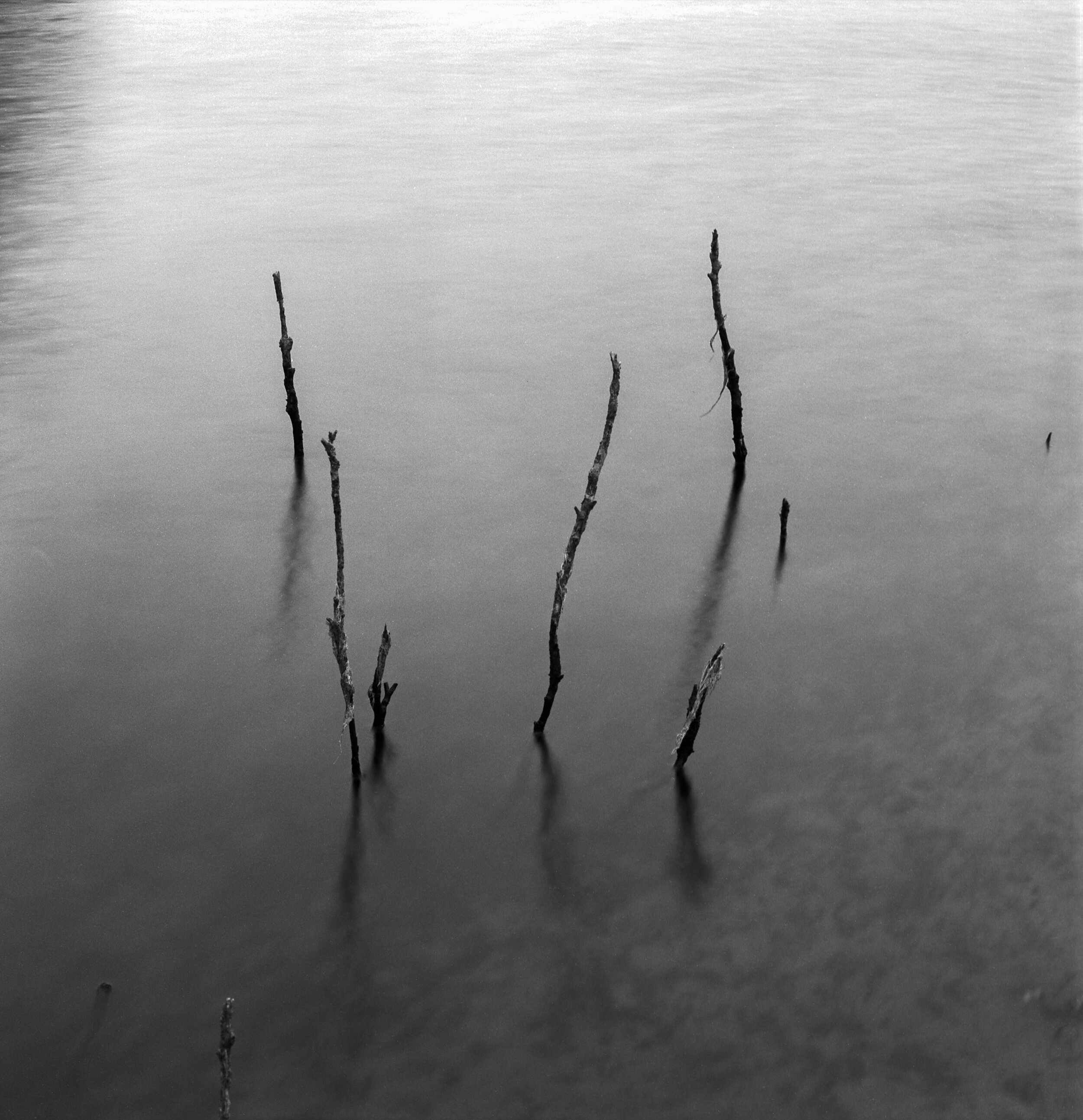 Twigs Quabin Reservoir (date unkown) 