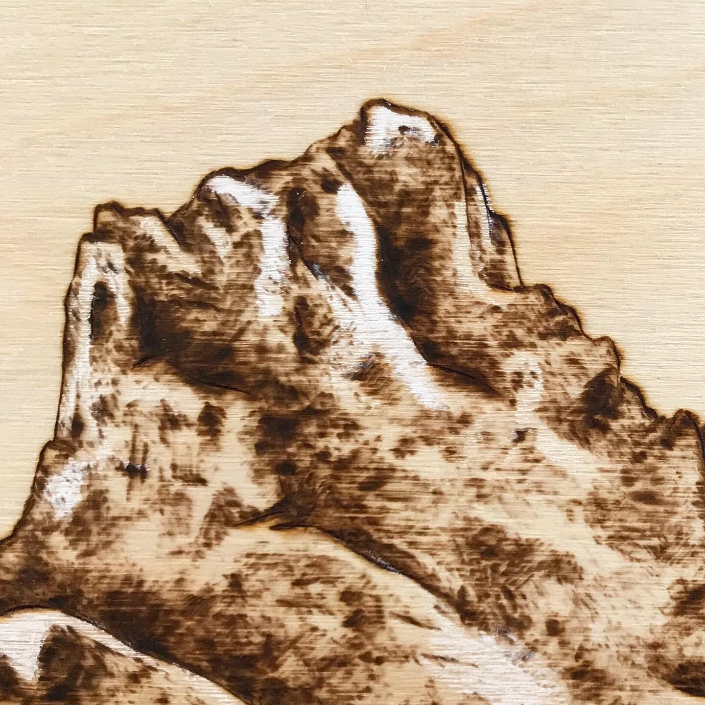 Faith. 💗⠀
Close up of the &lsquo;big sister&rsquo; in this famous mountain trio found in Canmore, Alberta. 🏔🏔🏔⠀
⠀
⠀
#pyrography #pyrographyartists #woodburning #pyro #pyrographer #artist #artistsoninstagram #ottawaartist #canadianartist #canadian