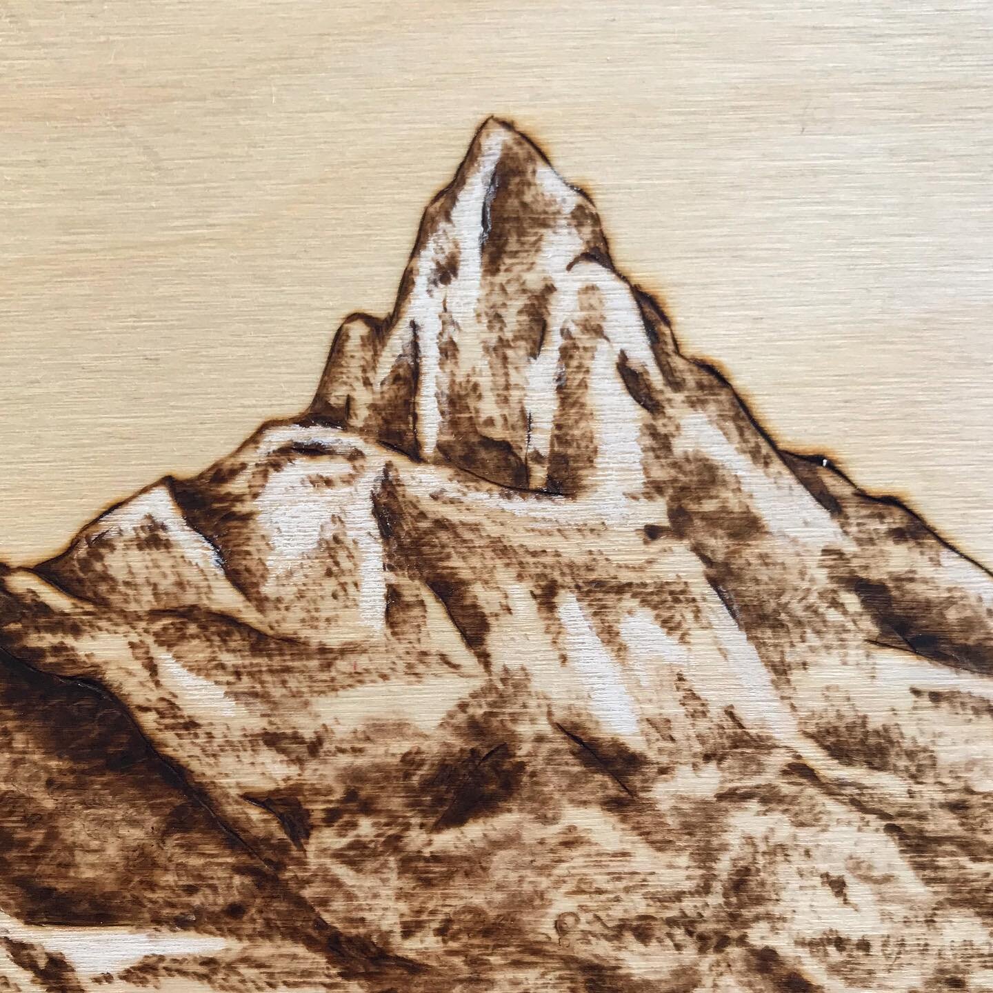 Hope. 💗⠀
Close up of the &lsquo;little sister&rsquo; in this famous mountain trio found in Canmore, Alberta. 🏔🏔🏔⠀
⠀
⠀
#pyrography #pyrographyartists #woodburning #pyro #pyrographer #artist #artistsoninstagram #ottawaartist #canadianartist #canadi