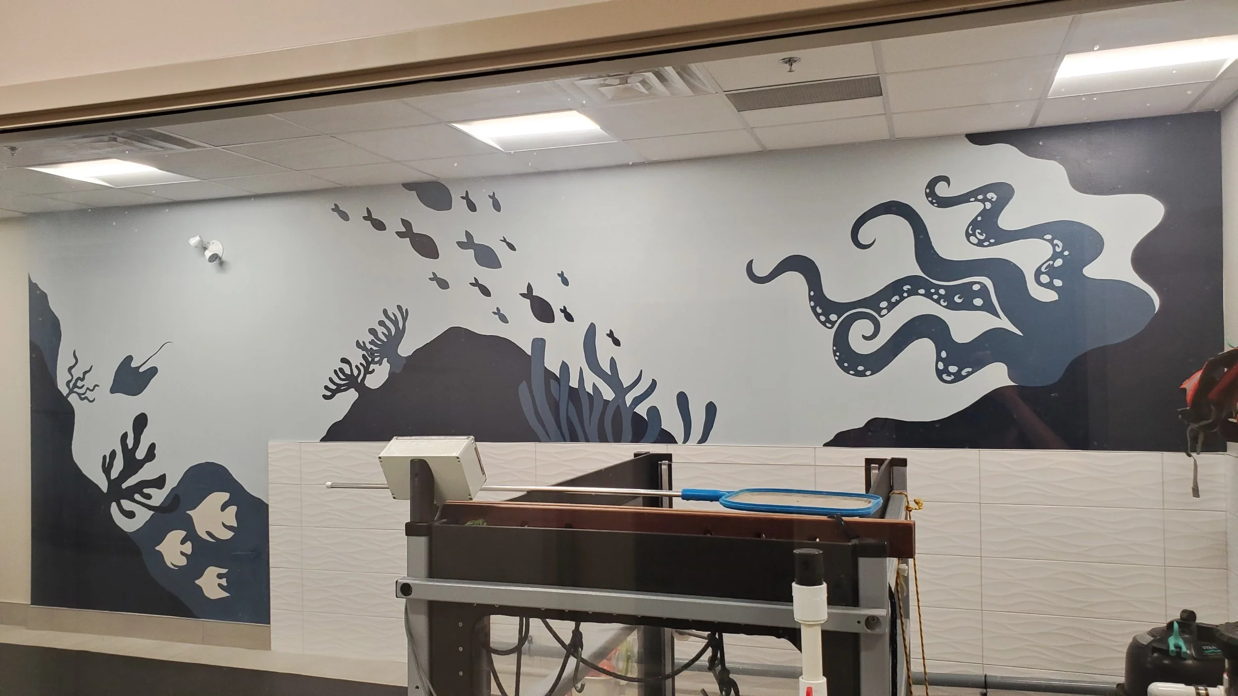 Rehabilitation + Water Therapy Mural | Cedarville Animal Hospital, Ottawa 2021