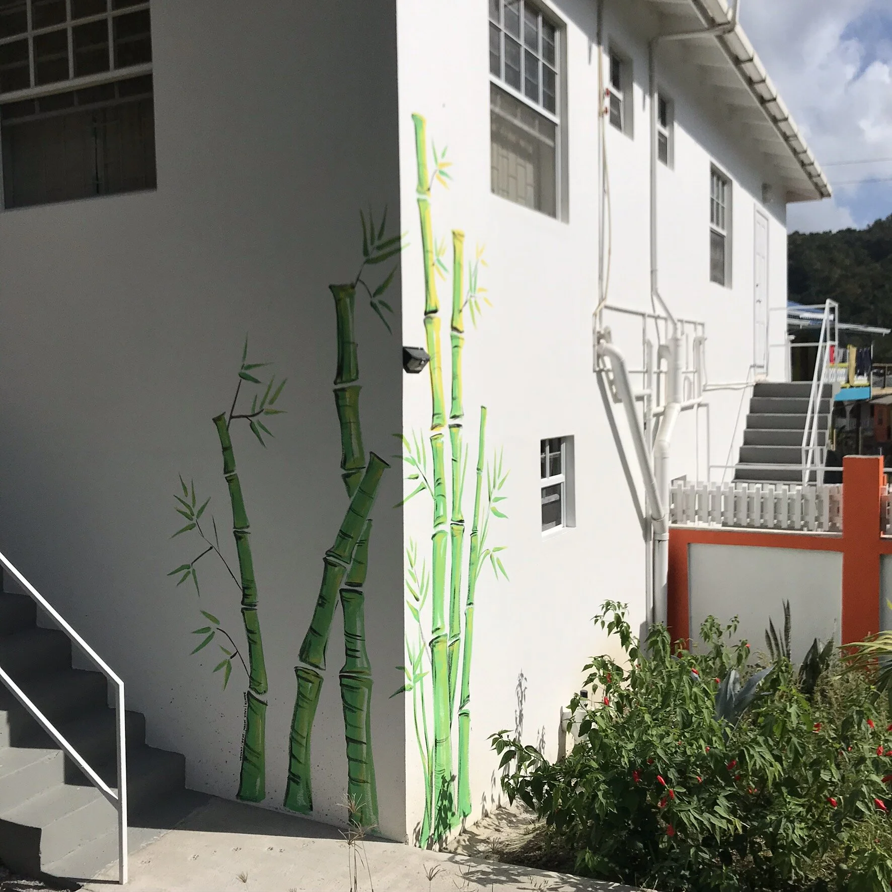 Bamboo | Soufriere, St. Lucia 2020