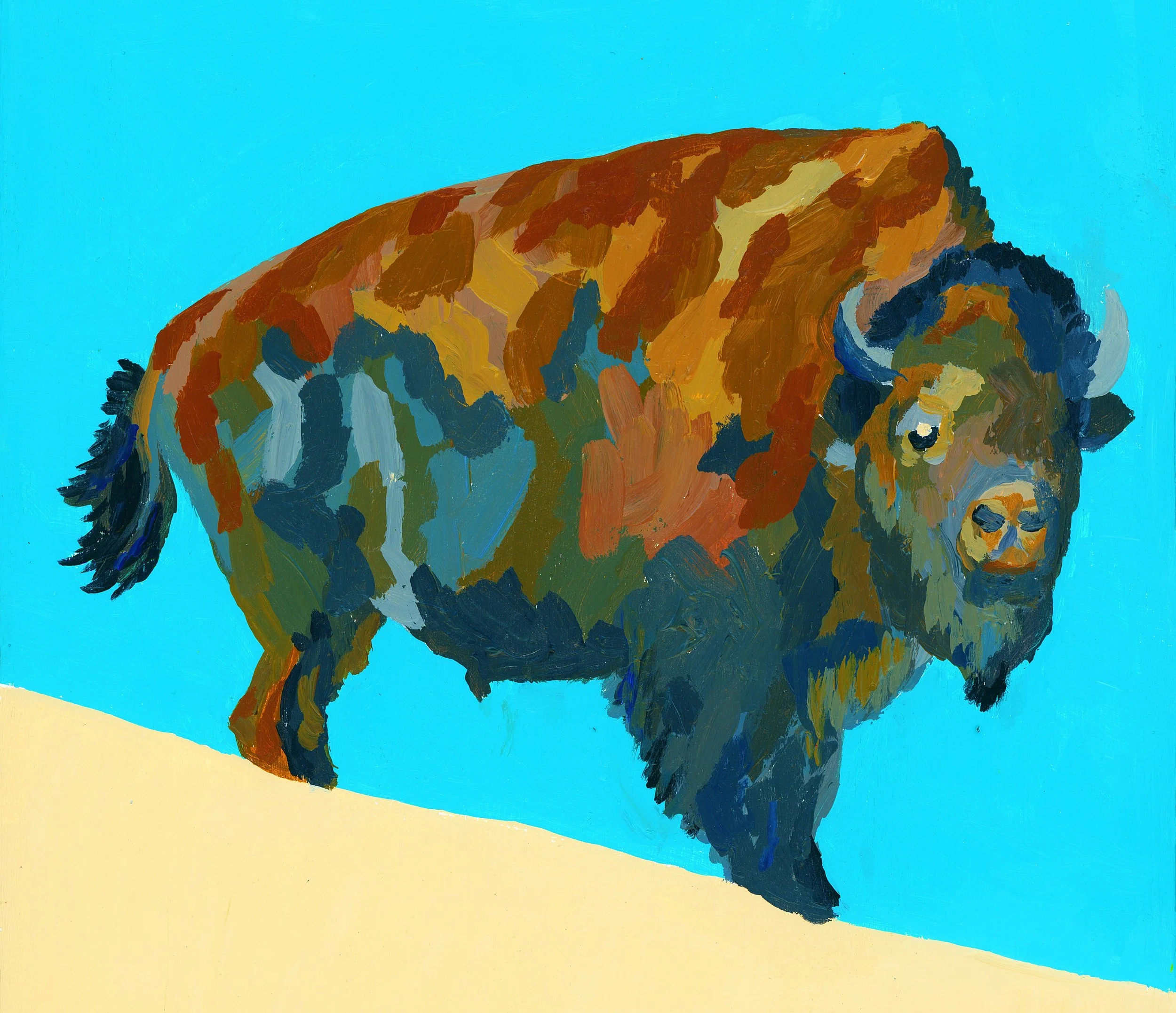 Bison 3.jpg