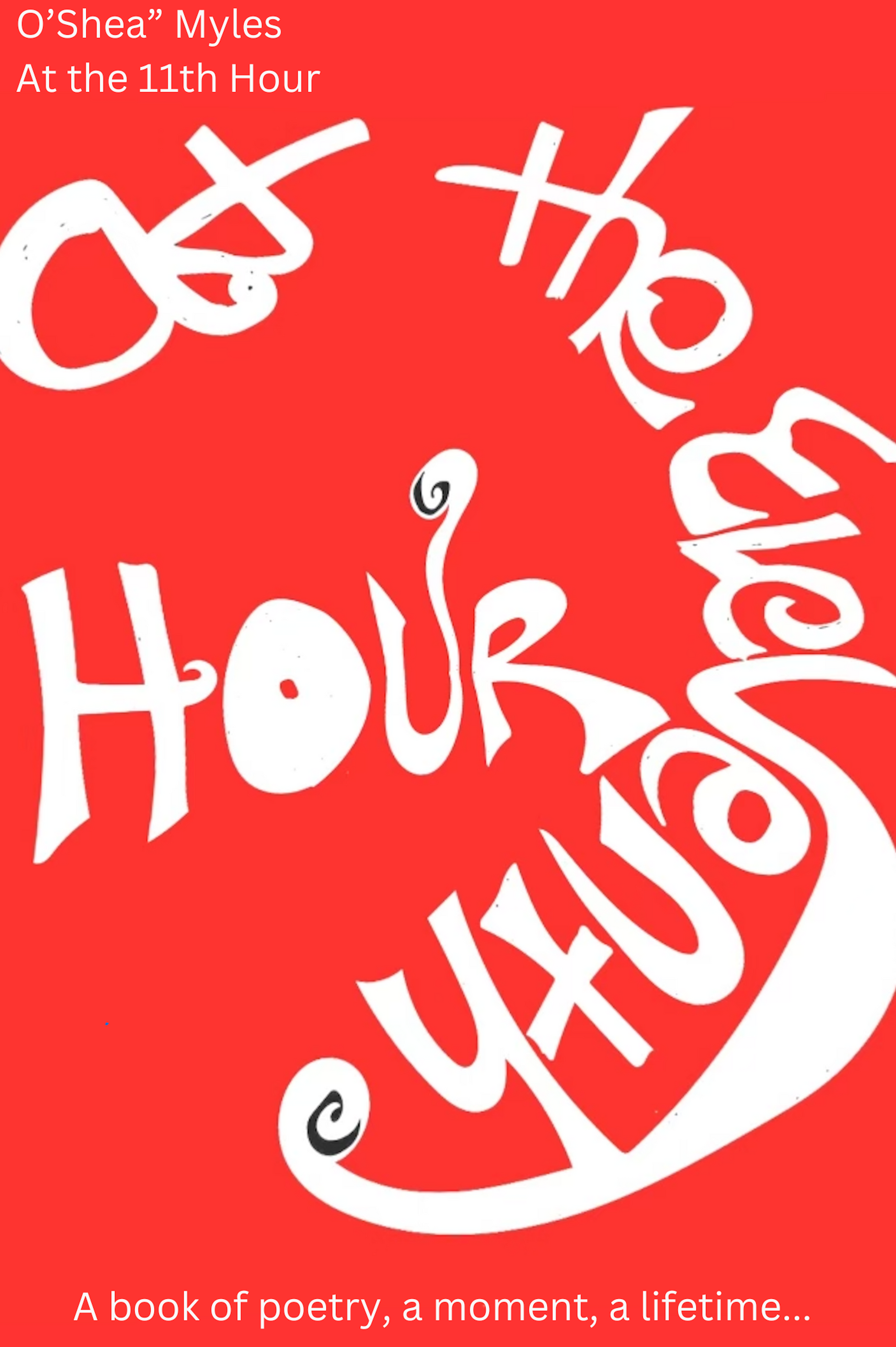 At The Eleventh Hour: A Book of Poetry