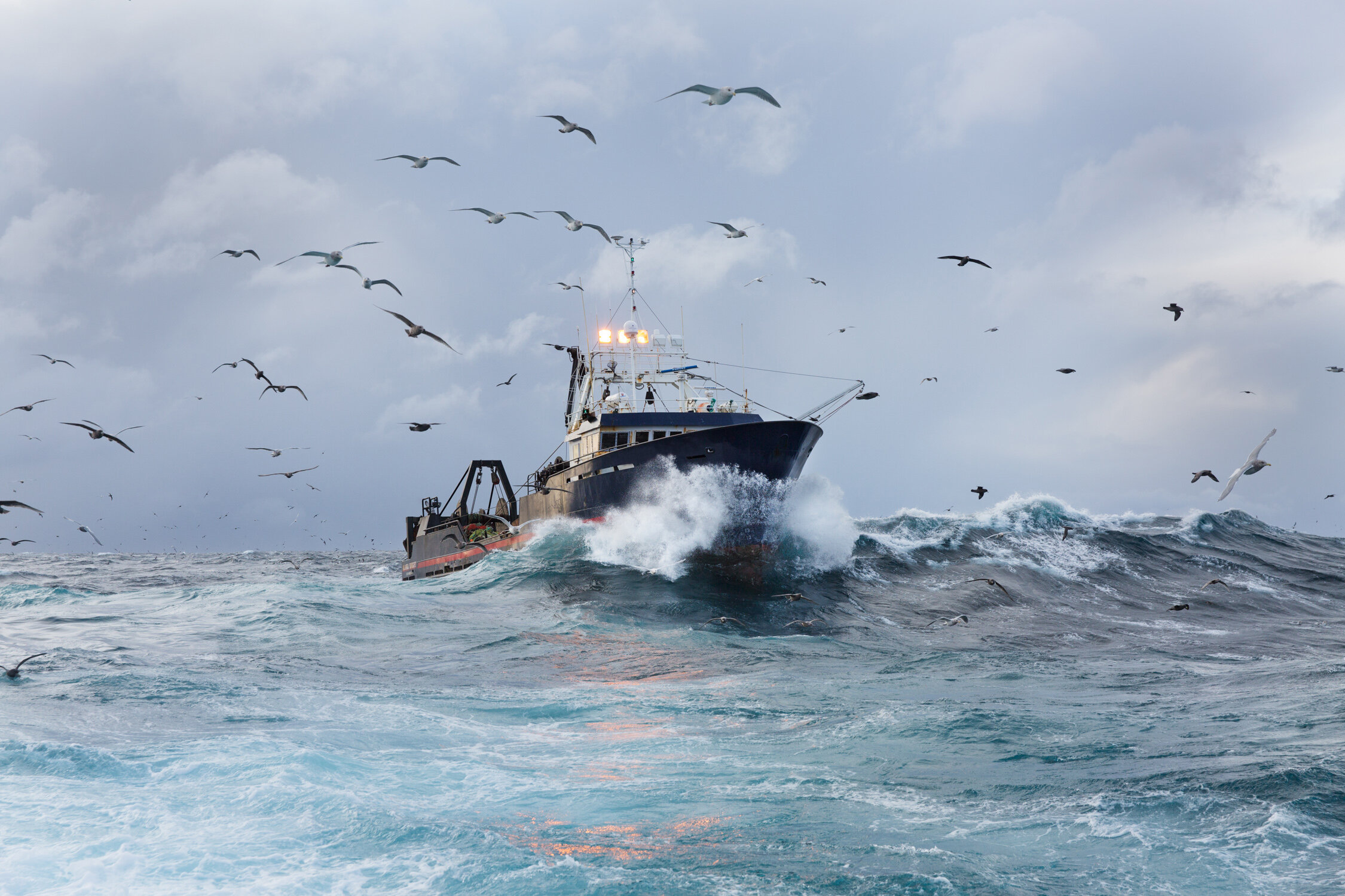 Trusted Seafood Wholesaler