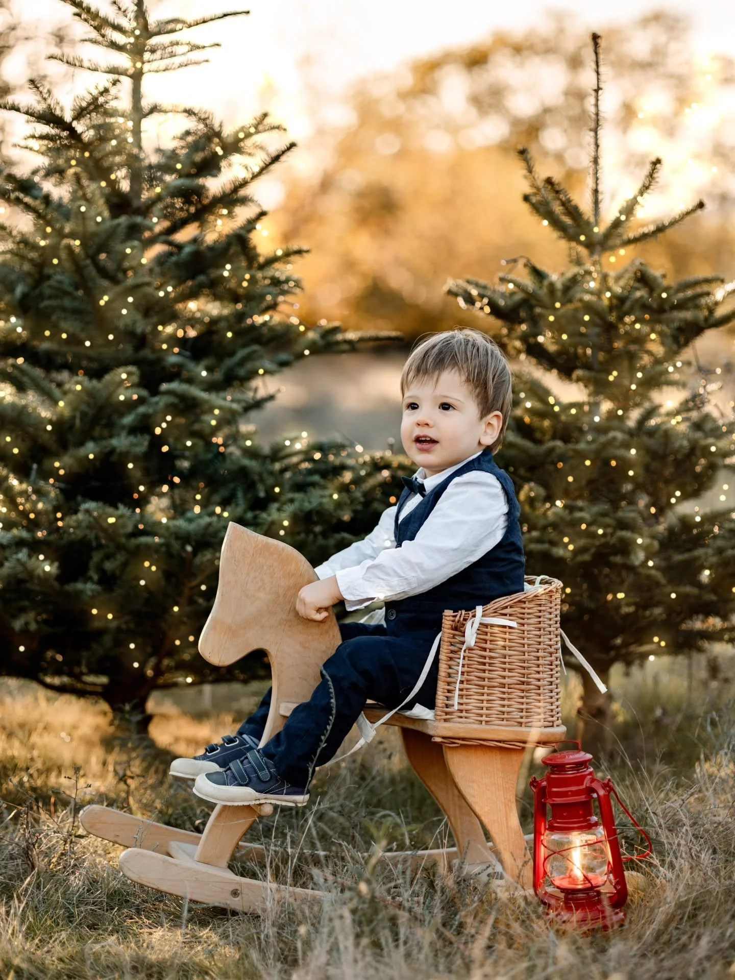 Magnifique s&eacute;ance avec L&eacute;on et ses parents, &agrave; l'heure magique o&ugrave; la lumi&egrave;re rasante de la fin de journ&eacute;e vient renforcer l'ambiance magique d'un sapin de No&euml;l !