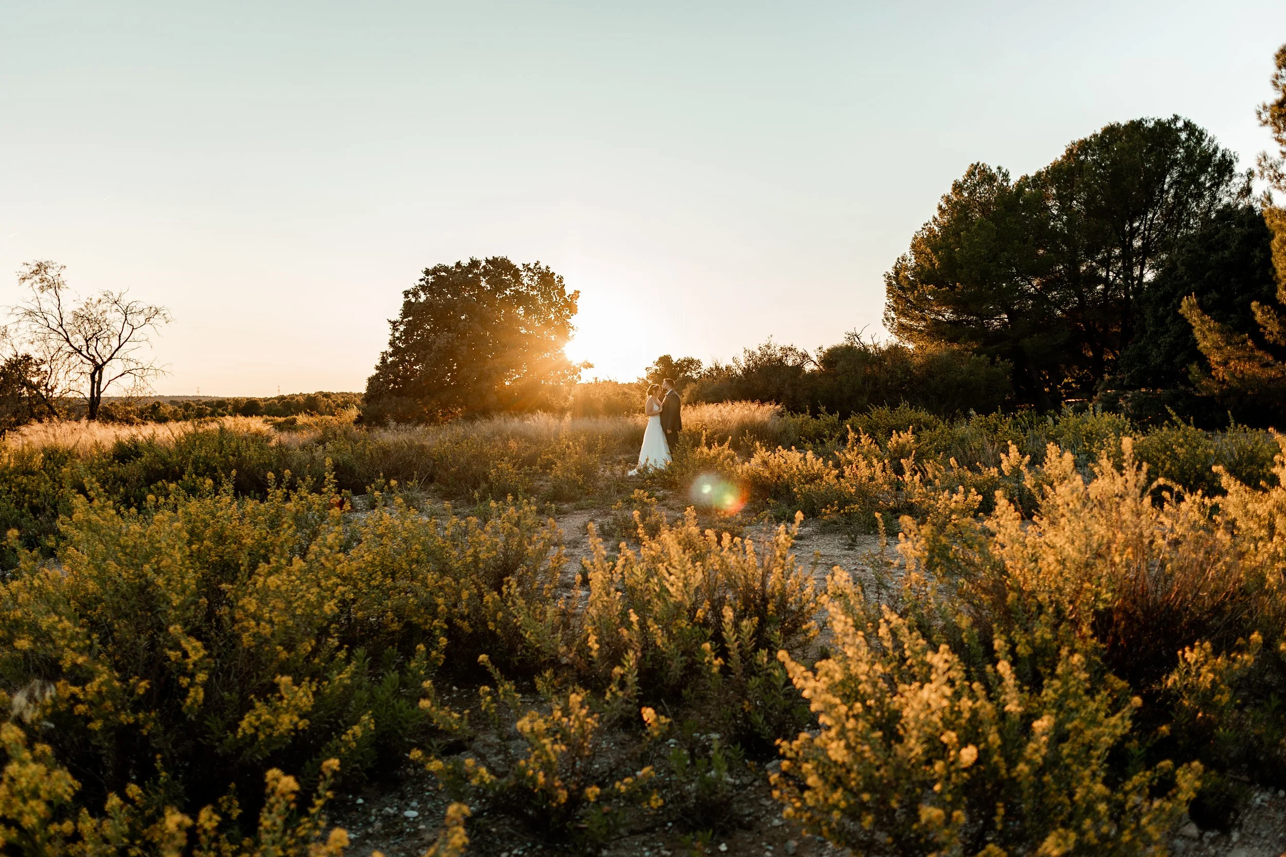 _X9A2106-Avec accentuation-Bruit-Modifier (2).jpg