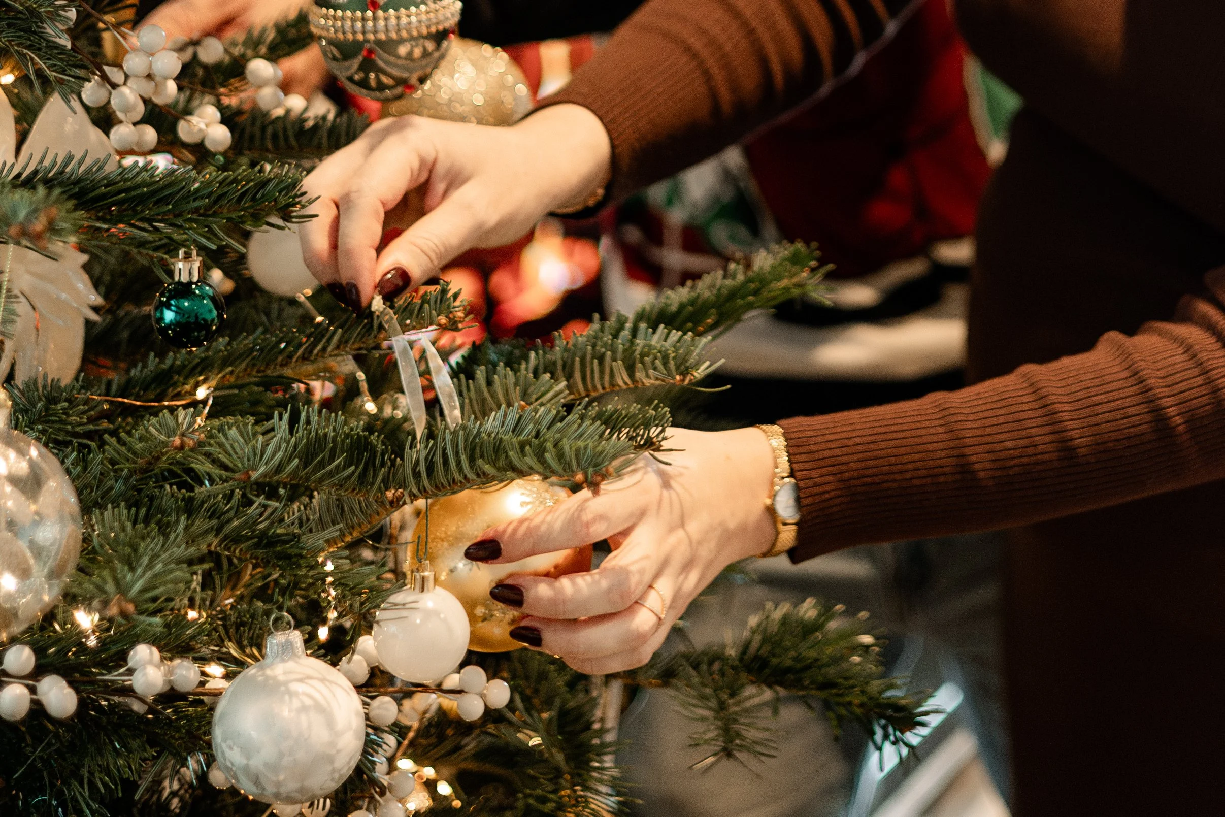 _X9A1310-Avec accentuation-Bruit-Modifier.jpg