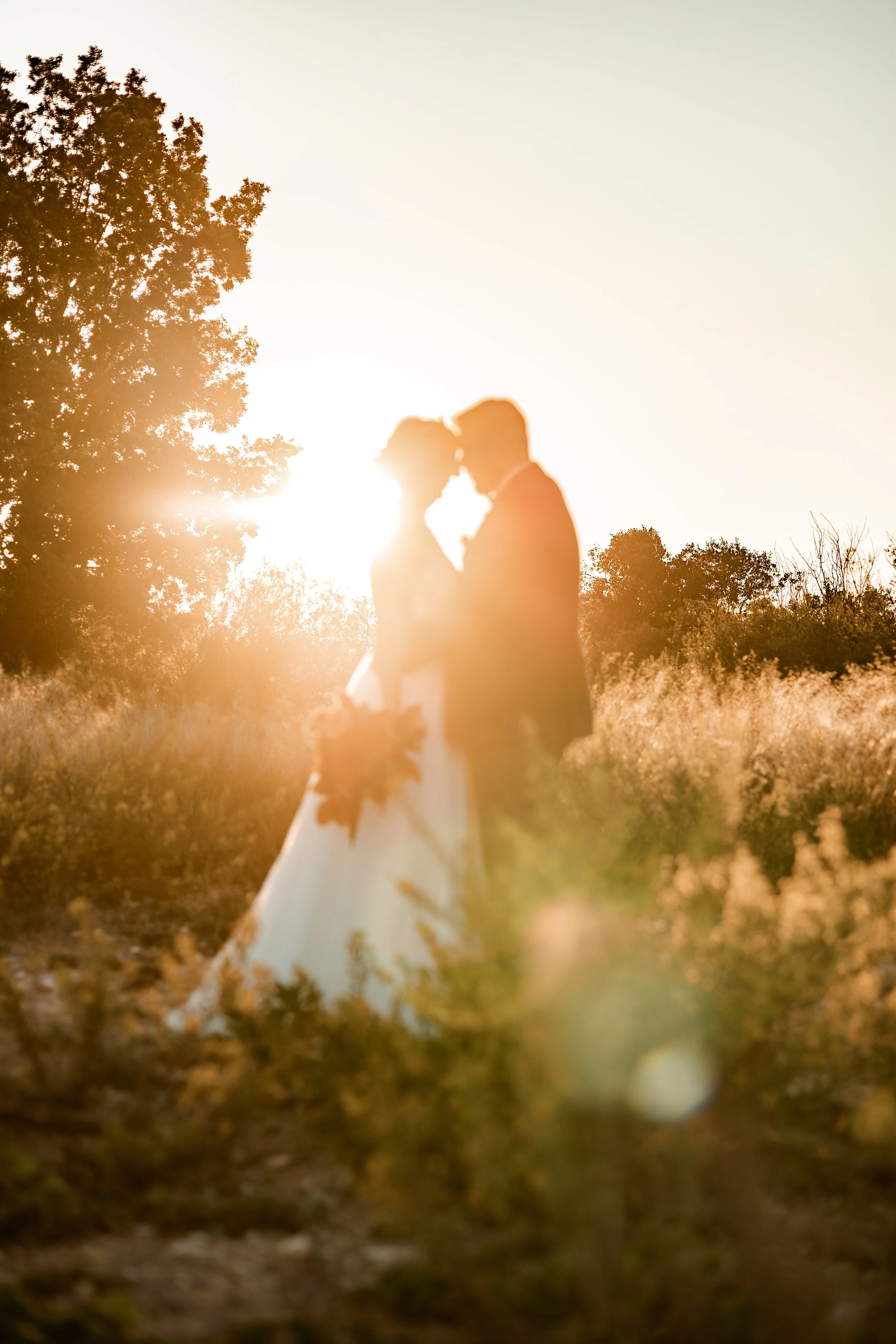 _P0A8966-Avec accentuation-Bruit-Modifier (1).jpg