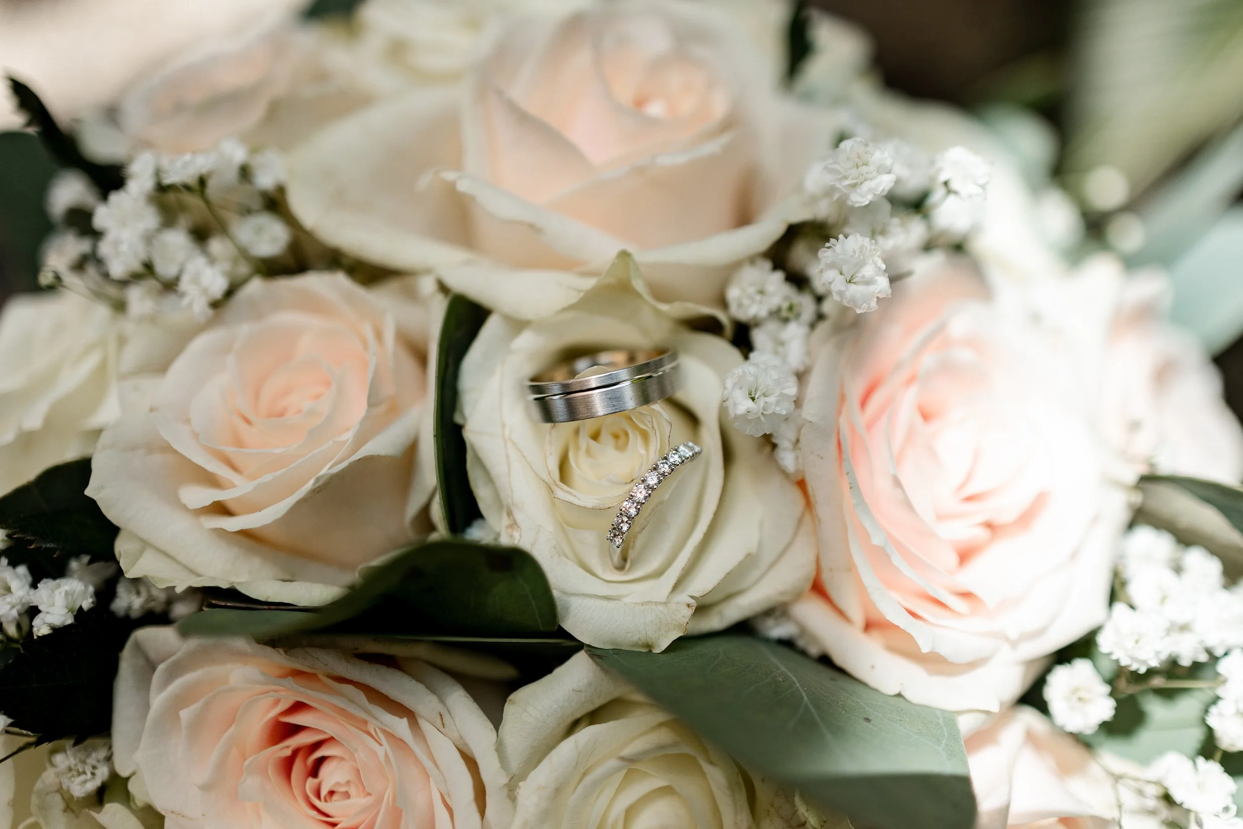 E&Jpr (2) - Copie.jpg