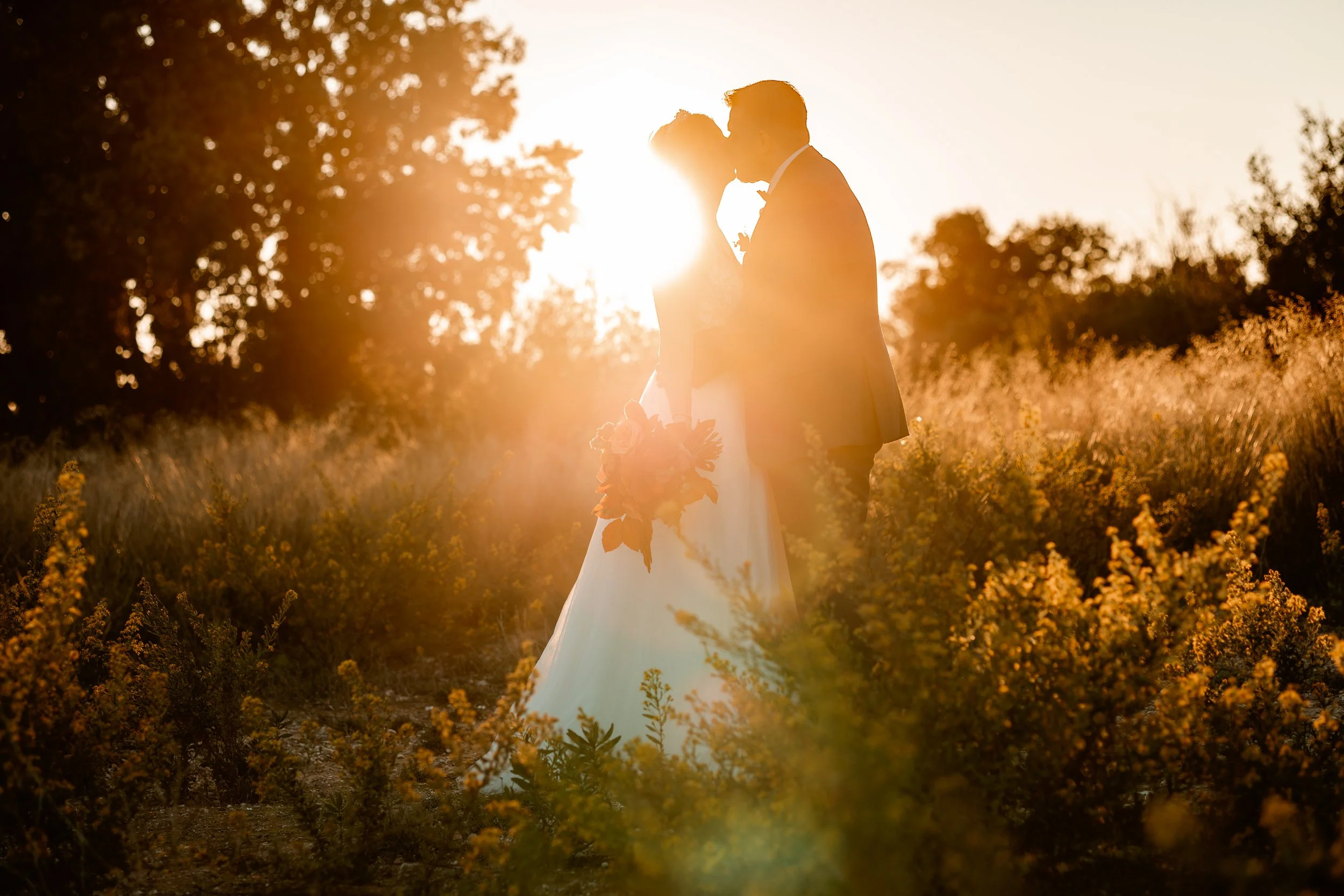 _P0A8980-Avec accentuation-Bruit-Modifier.jpg