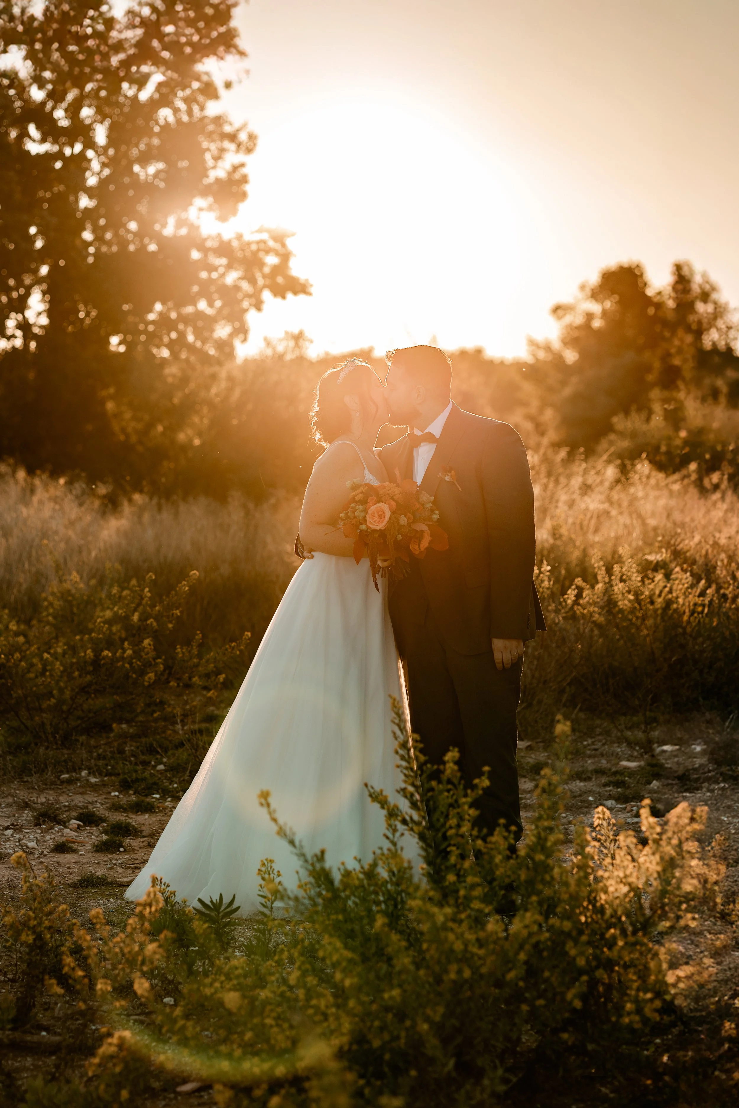 _P0A8957-Avec accentuation-Bruit-Modifier (1).jpg