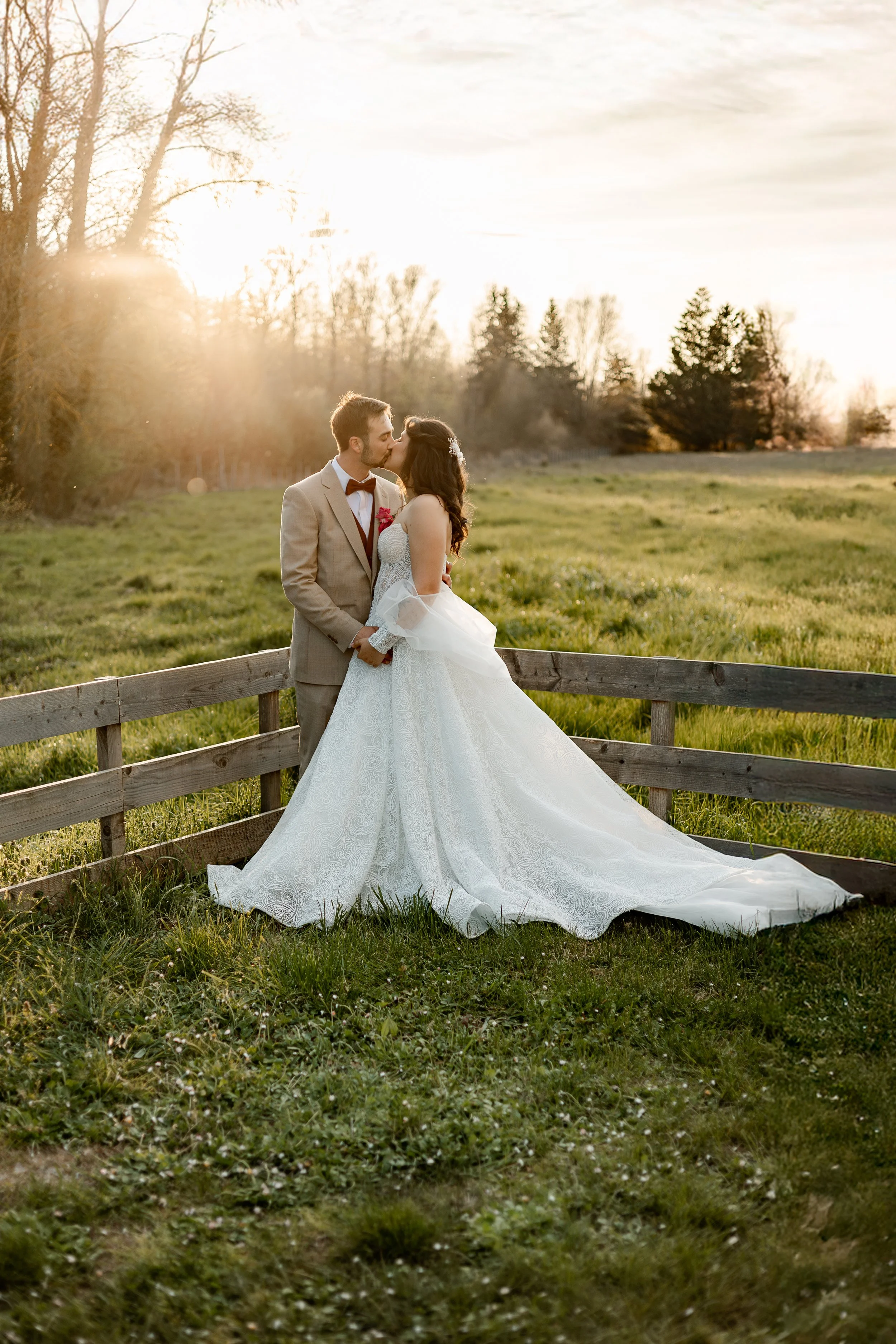 29032025-_X9A3123-Avec accentuation-Bruit-Modifier-Modifier.jpg