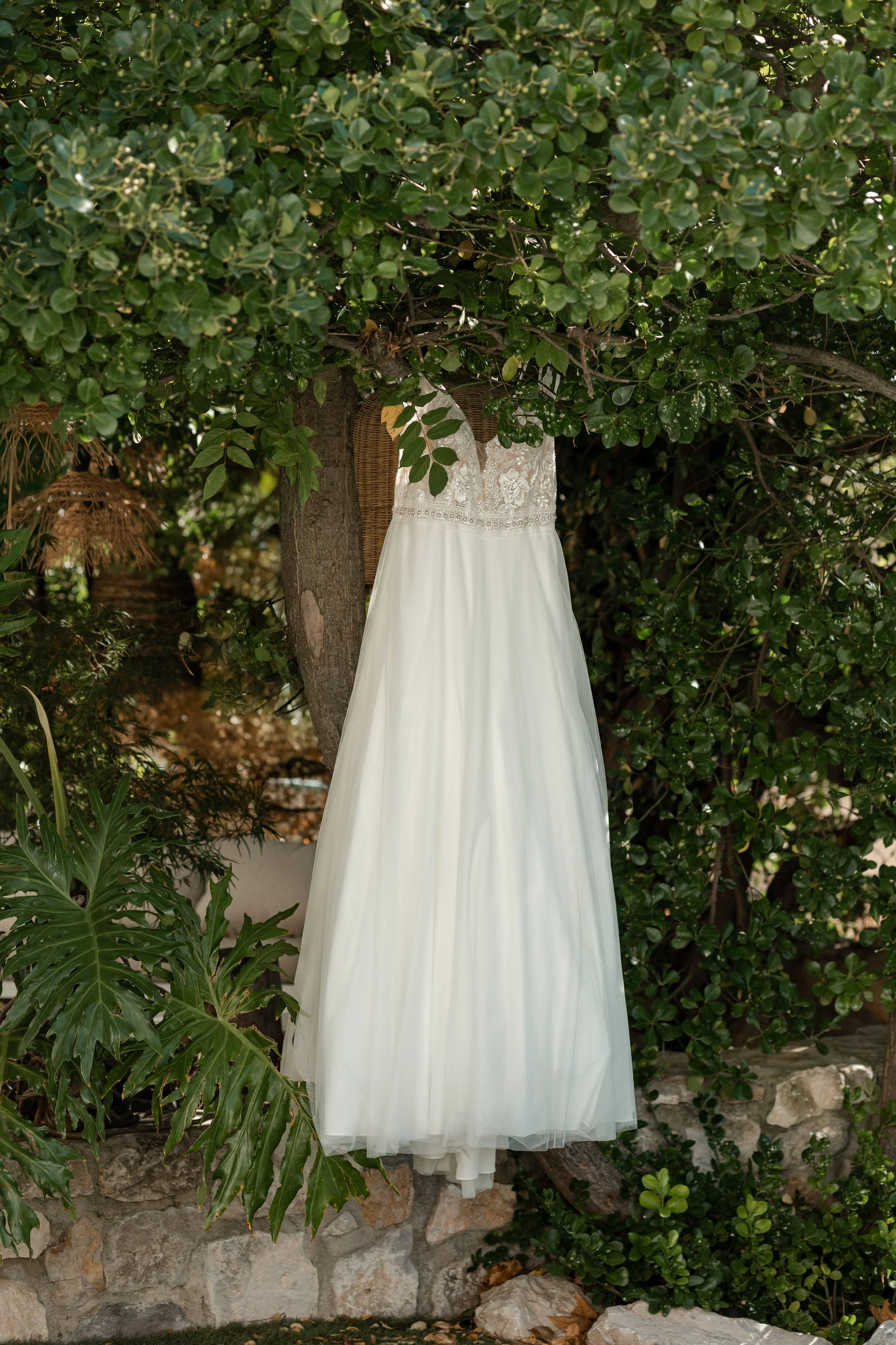 dbp cop24_X9A0903 (14).jpg