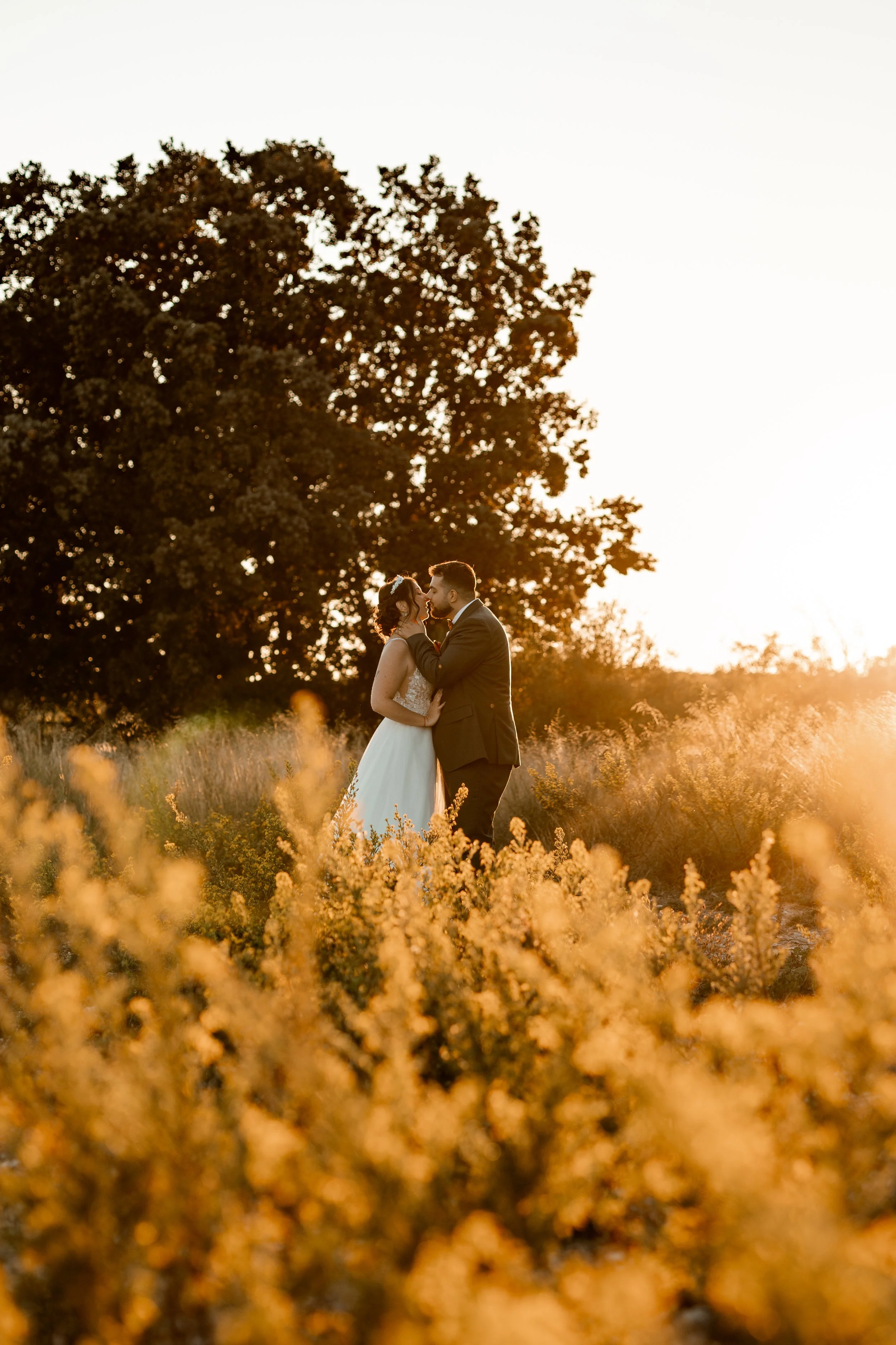 _P0A9166-Avec accentuation-Bruit-Modifier (1).jpg