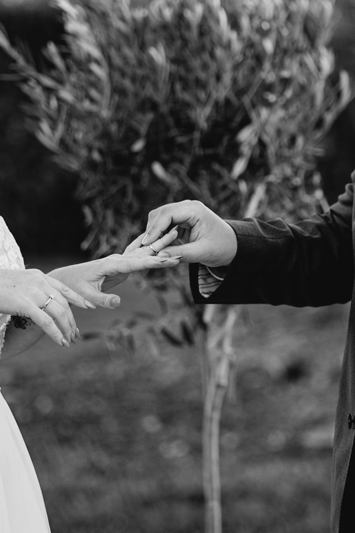 dbc cop24_X9A1381 (425).jpg