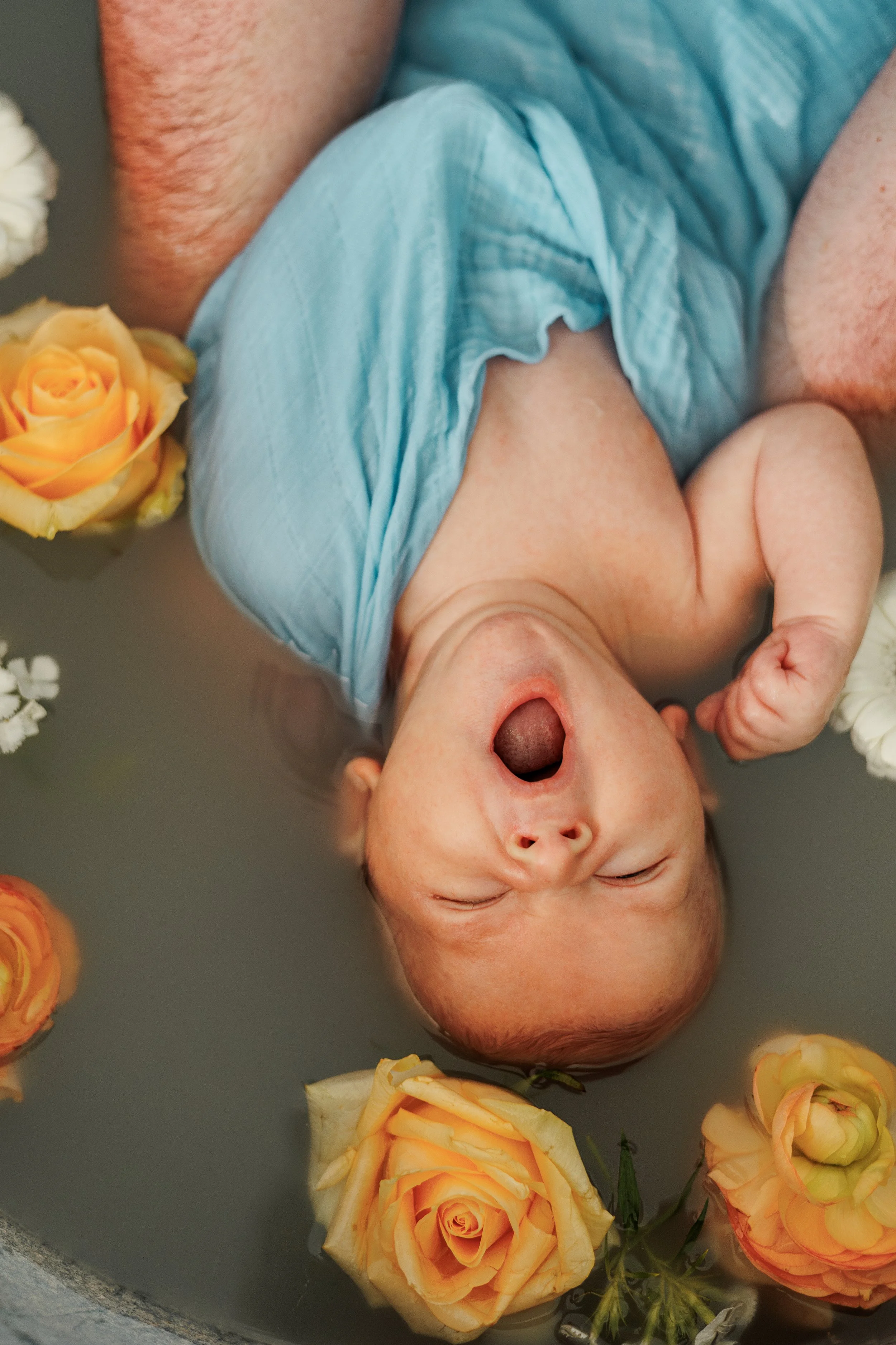 _X9A6429-Avec accentuation-Bruit-Modifier.jpg