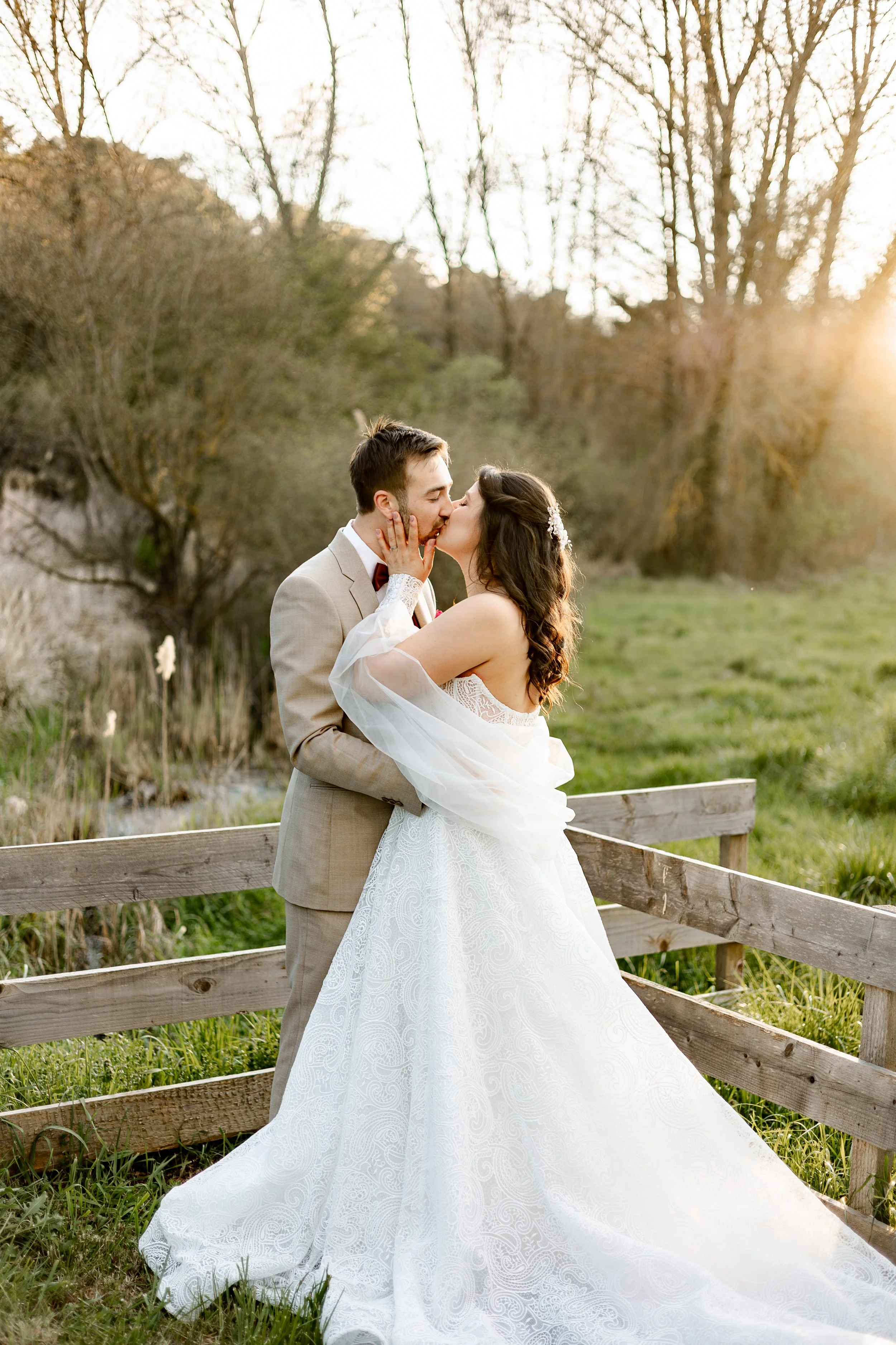 29032025-_X9A3216-Avec accentuation-Bruit-Modifier.jpg