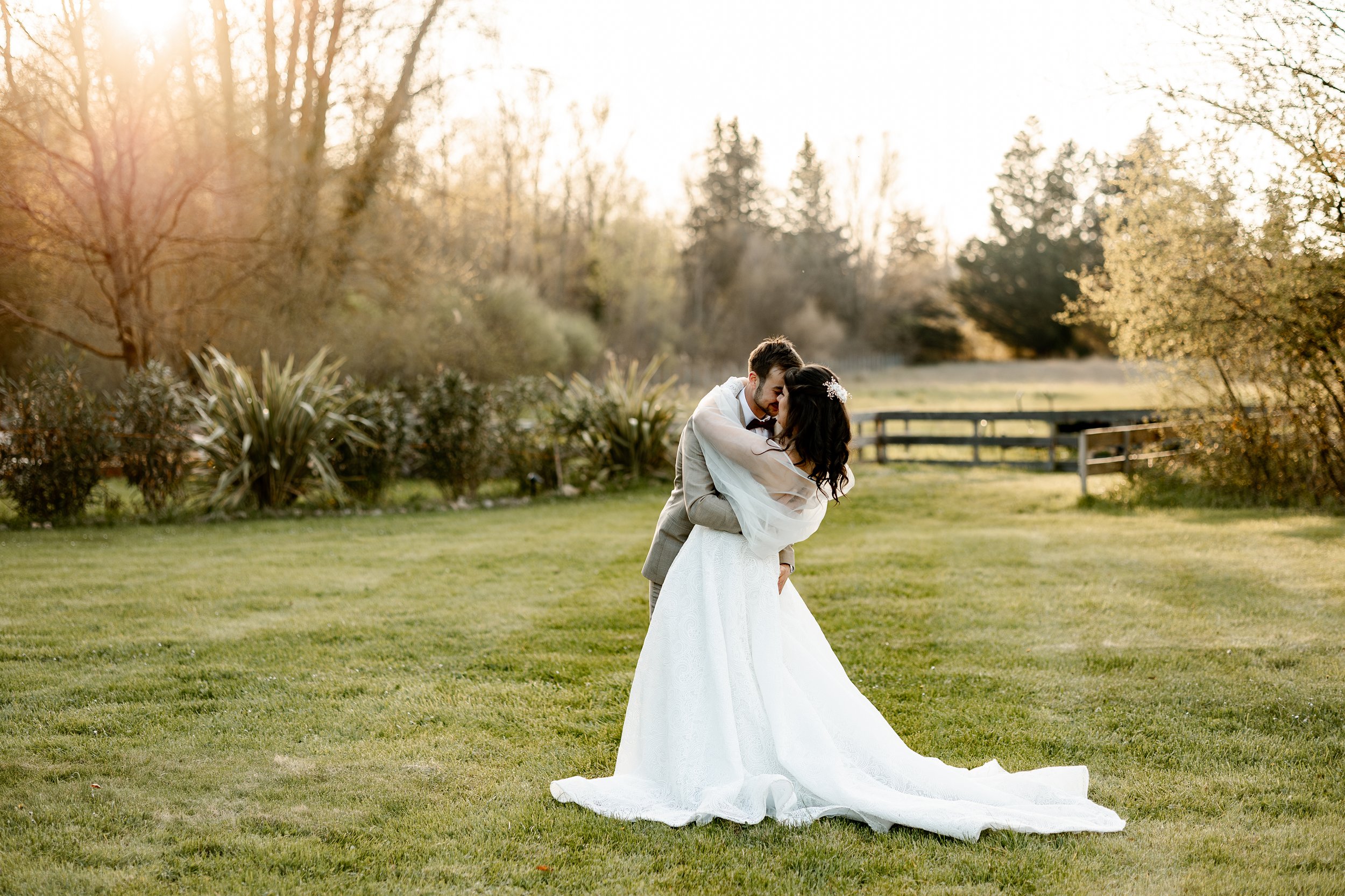 29032025-_P0A3689-Avec accentuation-Bruit-Modifier.jpg