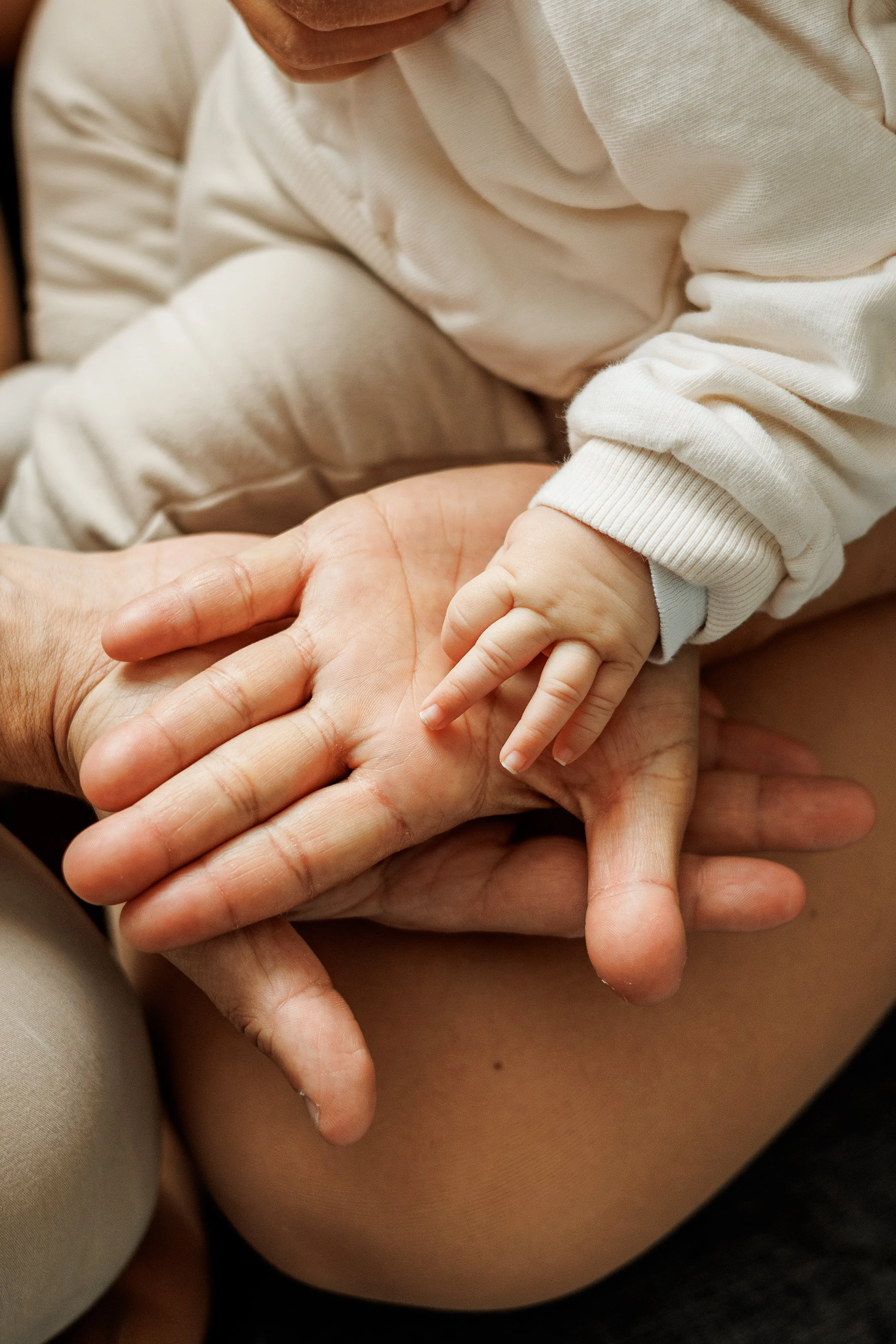 _P0A5745-Avec accentuation-Bruit-Modifier.jpg