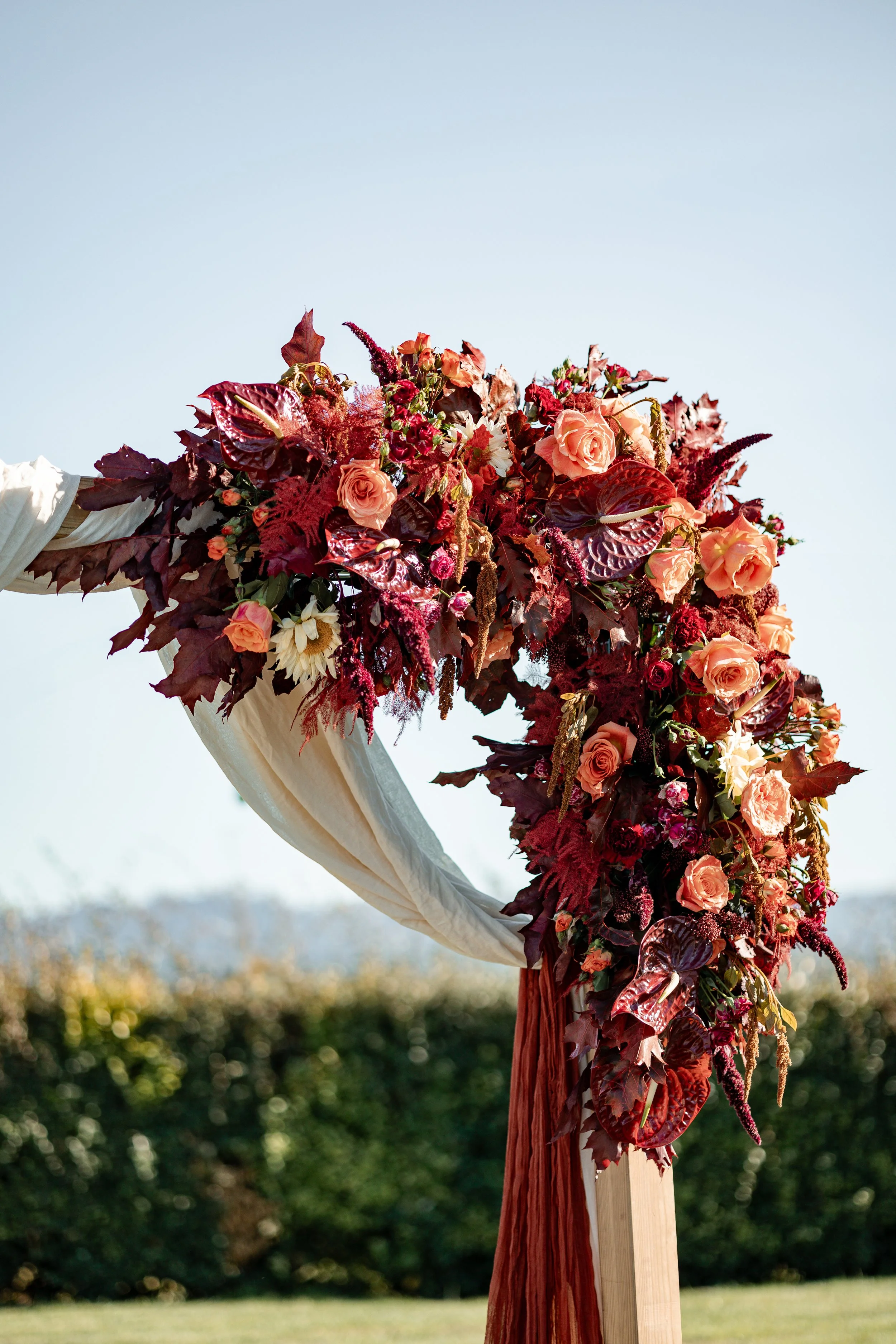 dbc cop24_X9A1381 (5).jpg