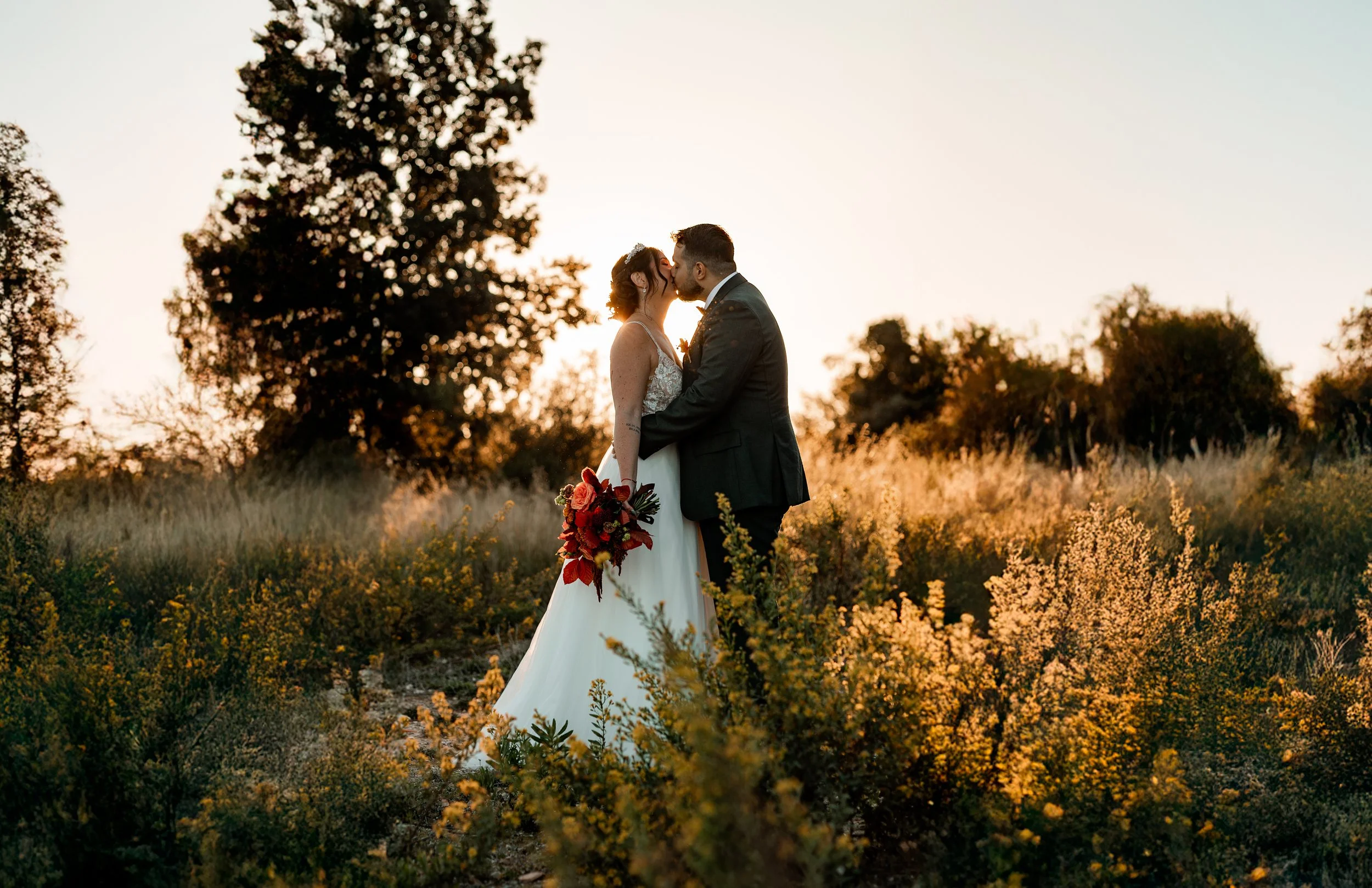 _P0A8973-Avec accentuation-Bruit-Modifier.jpg