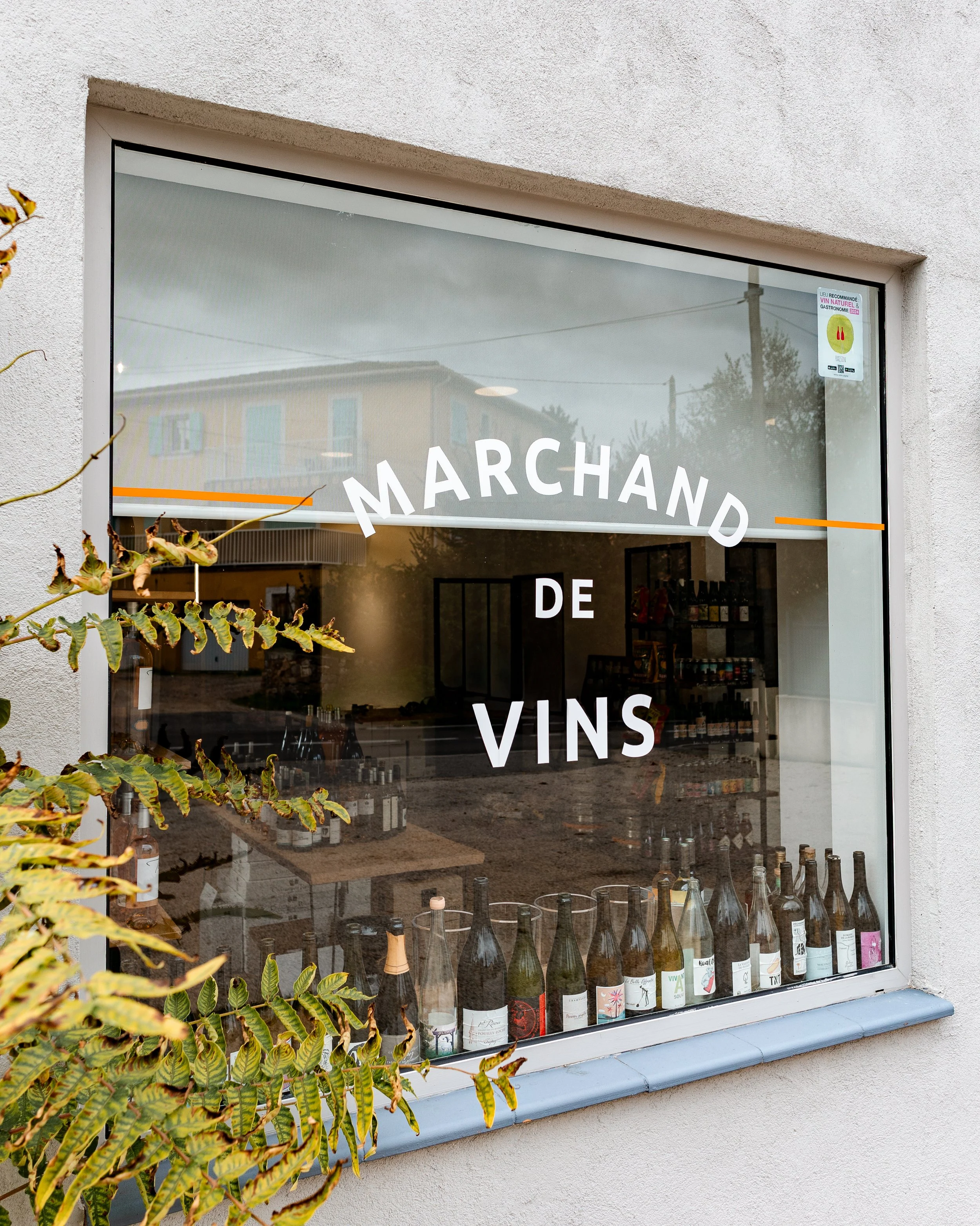 feed_P0A5986 (3).jpg