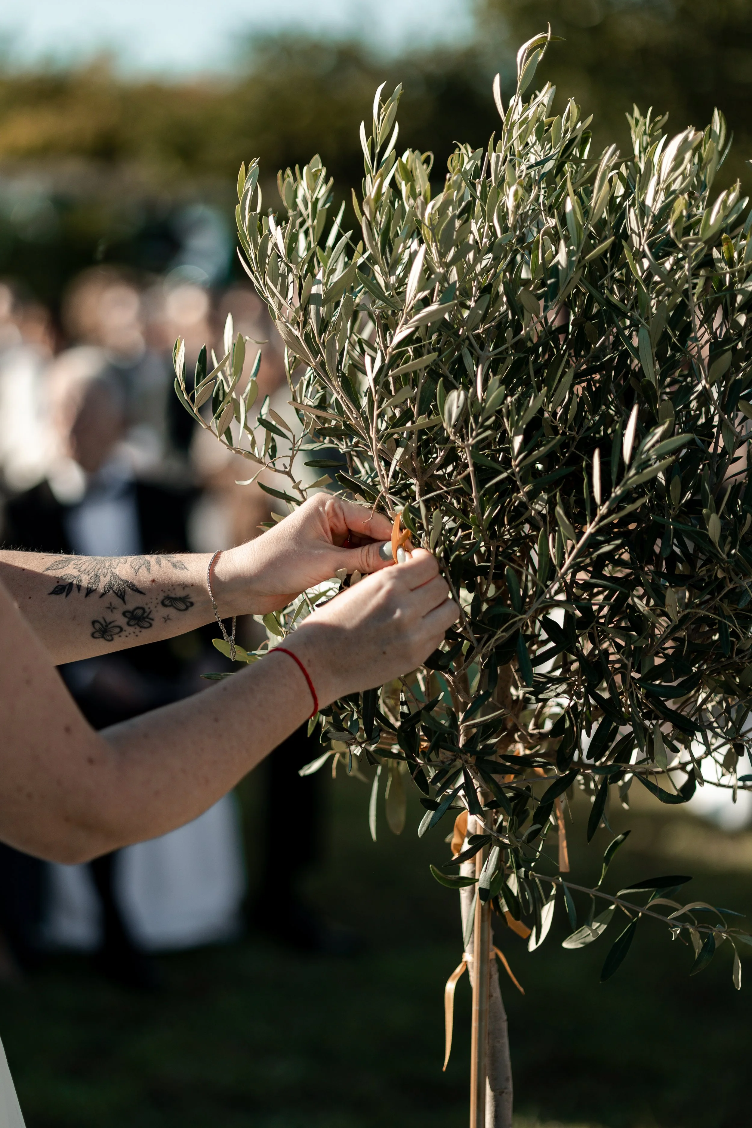 dbc cop24_X9A1381 (197).jpg