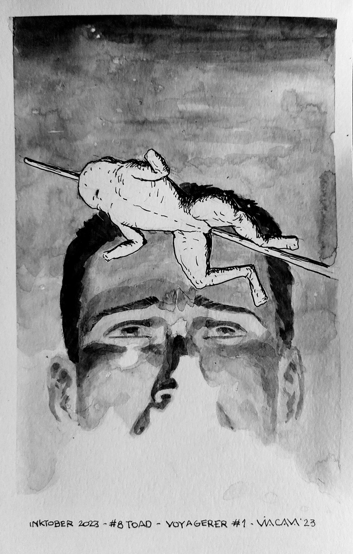 #8 Toad