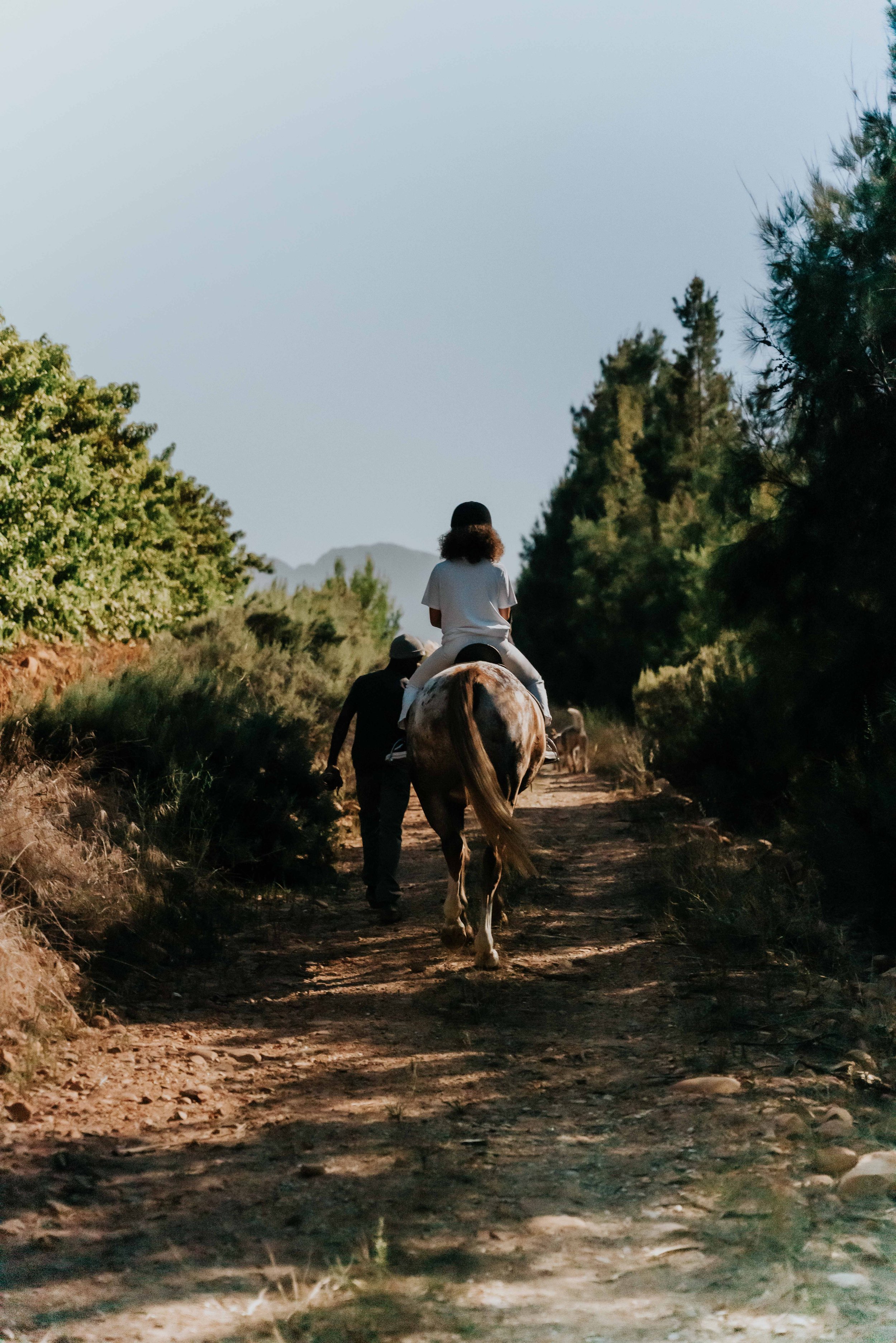 VROLIKHEID LANDGOED-97.jpg