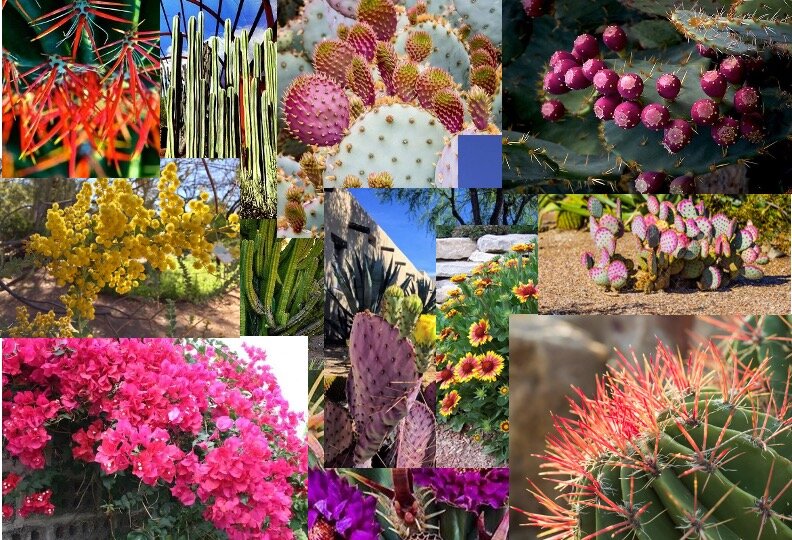 Tech 2 Mood Board-1.jpg