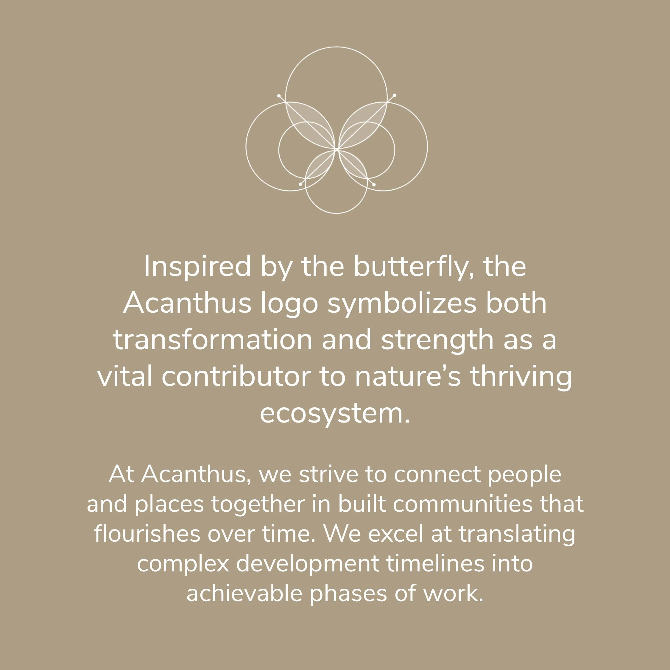 DSM Website Update - Acanthus_SS115.jpg