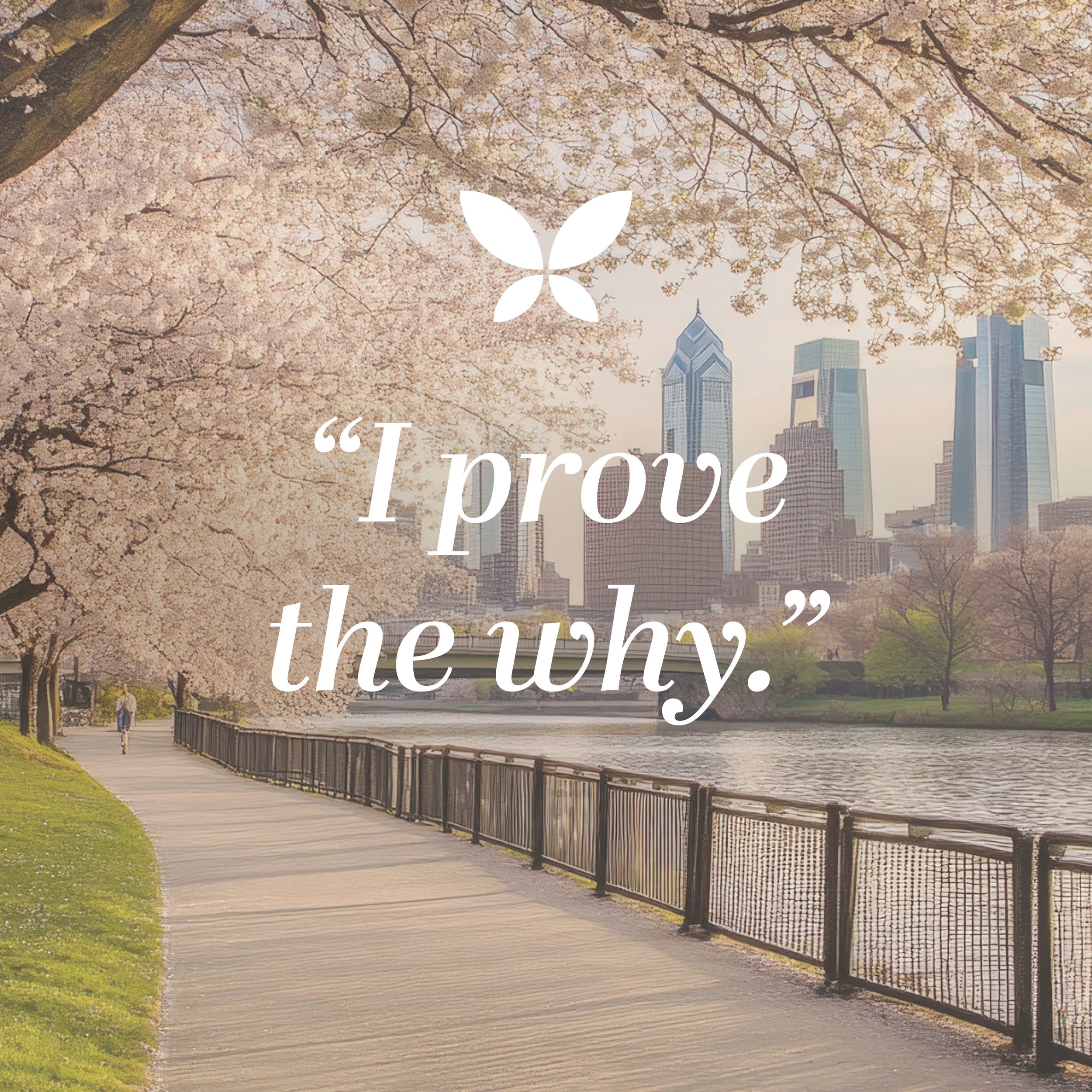 DSM Website Update - Acanthus_SS110.jpg