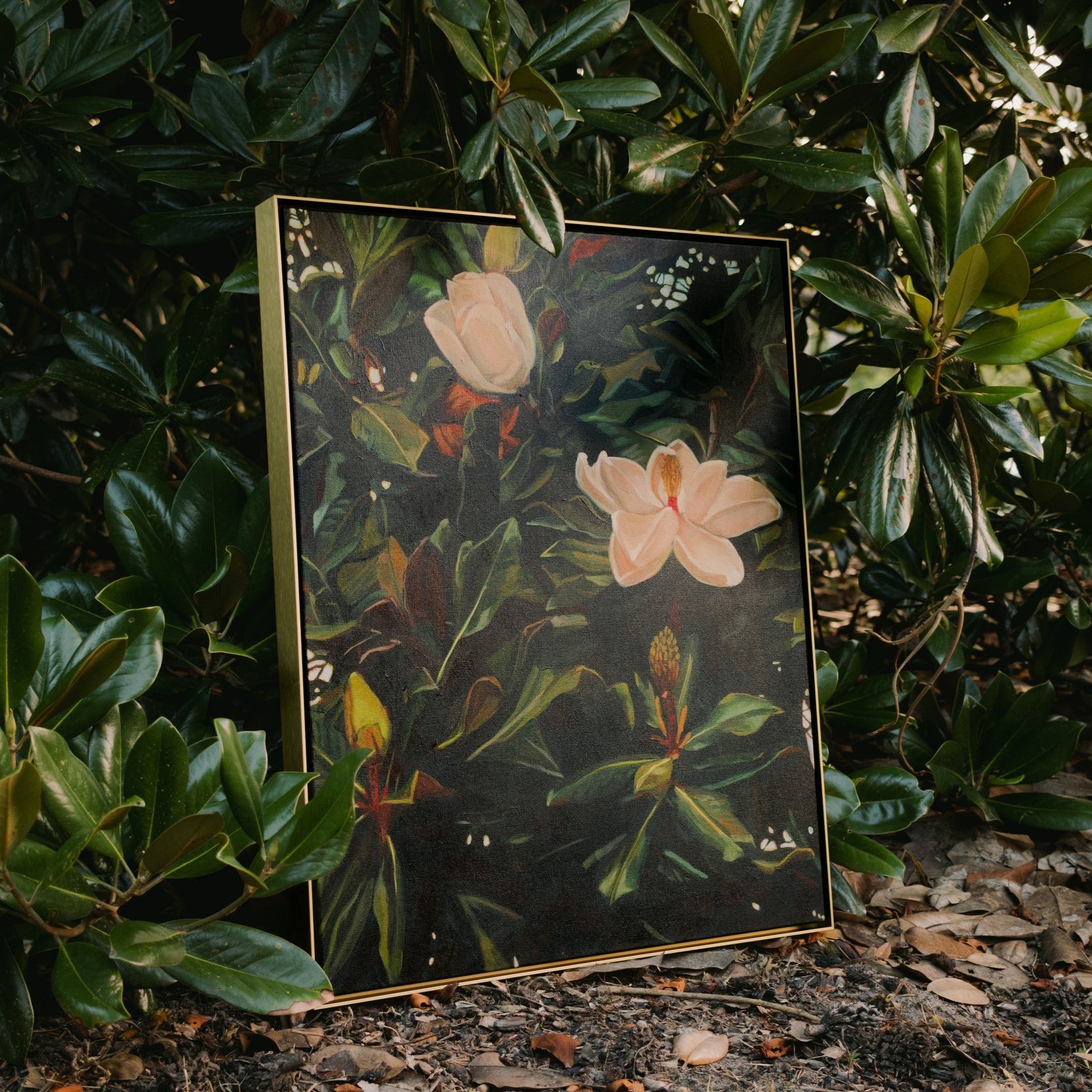 Magnolia+Series-84.jpg