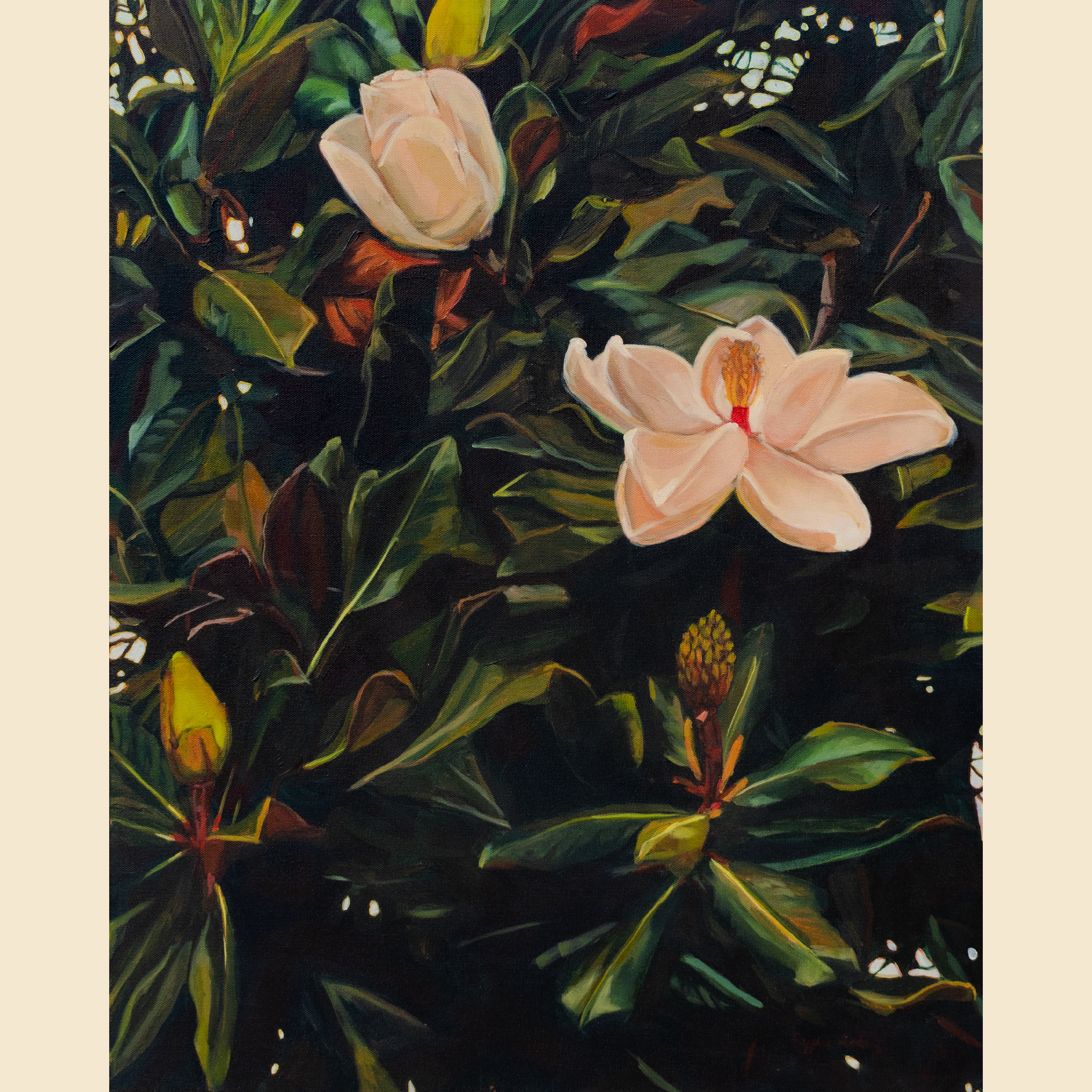 Magnolias for Website-01.png