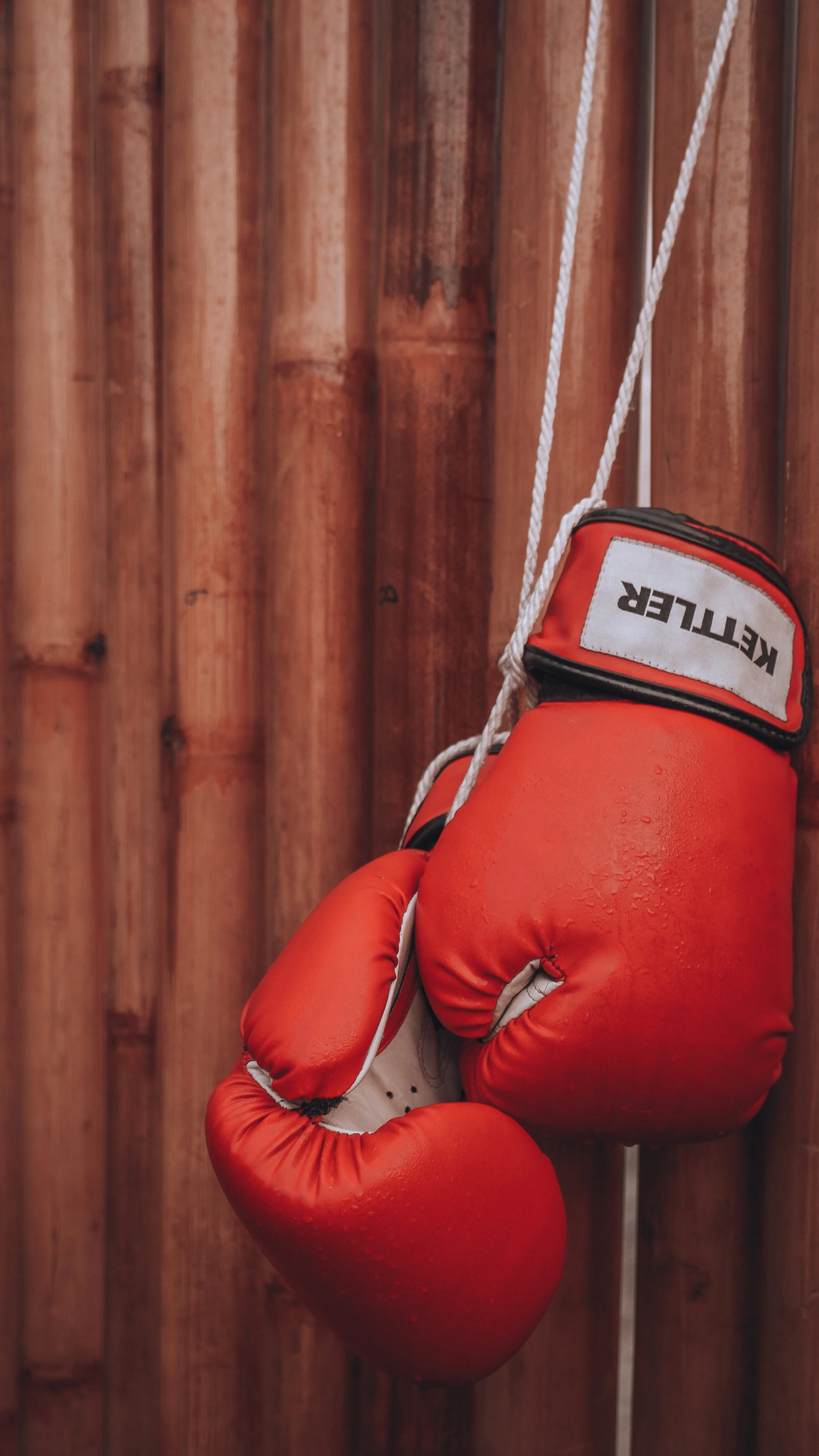 Knocked Out 1/29/2023