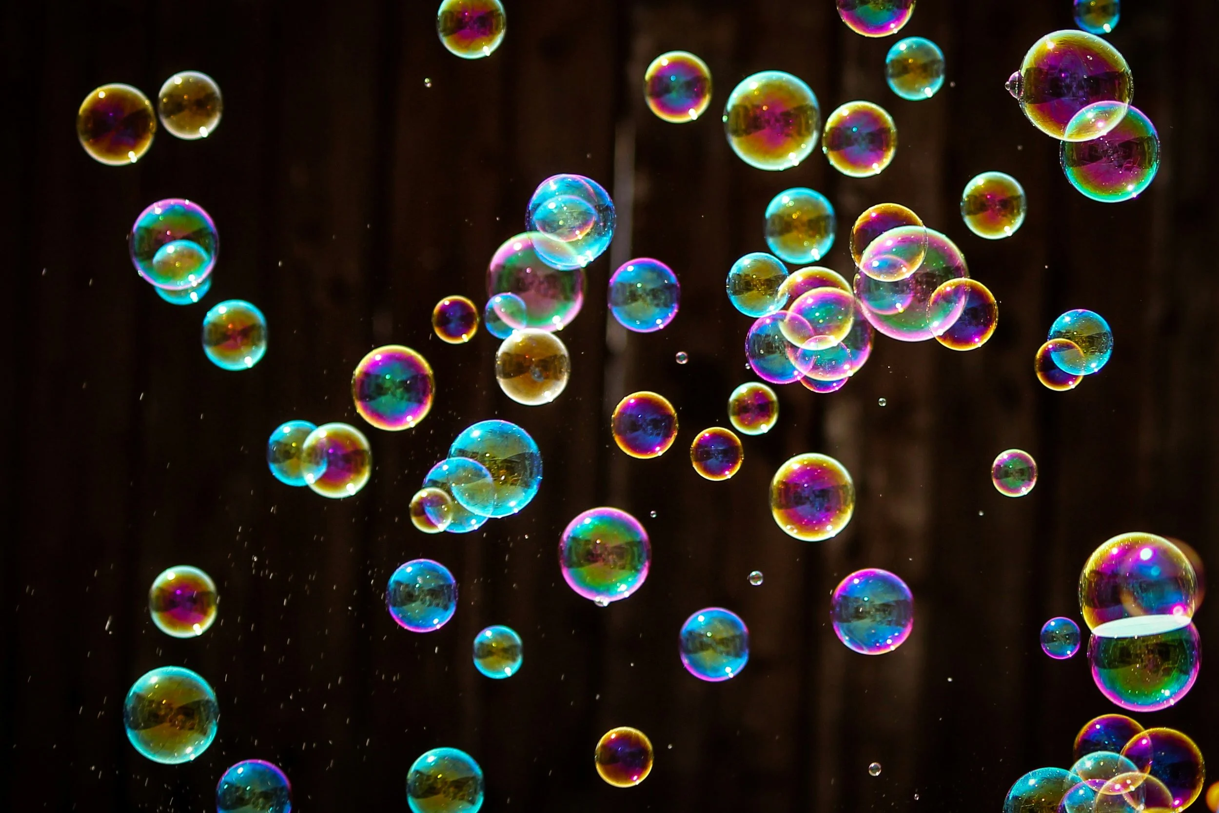 Bubbles 2/1/2024