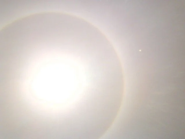 White Circles 6/8/2024