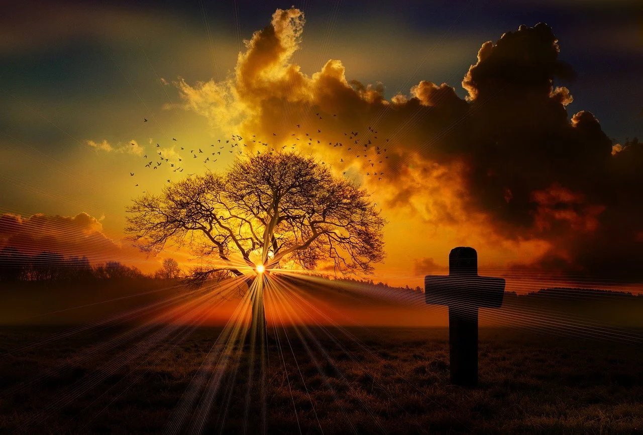Slice Of Heaven 6/20/2024