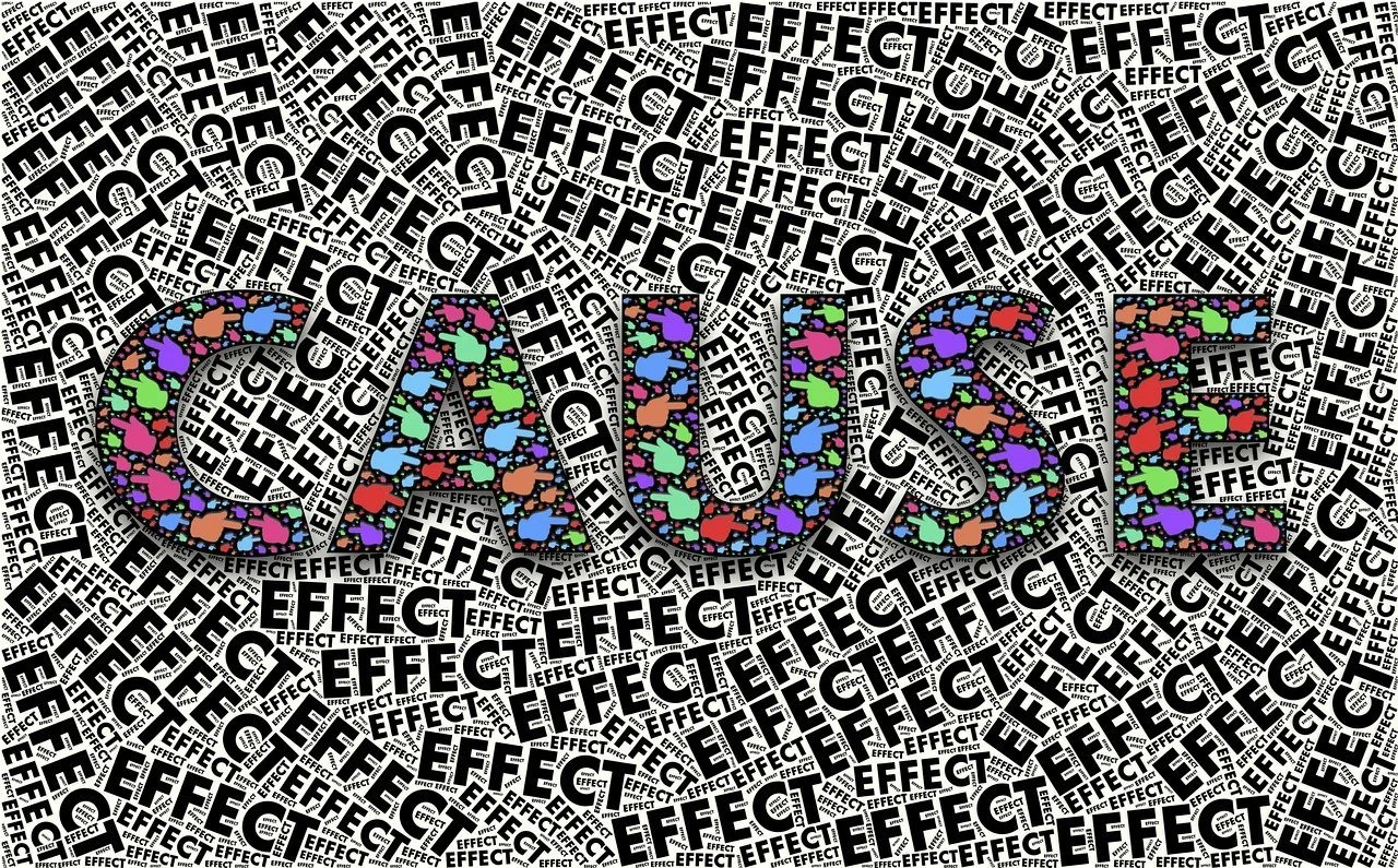 Cause And Effect 6/4/2025