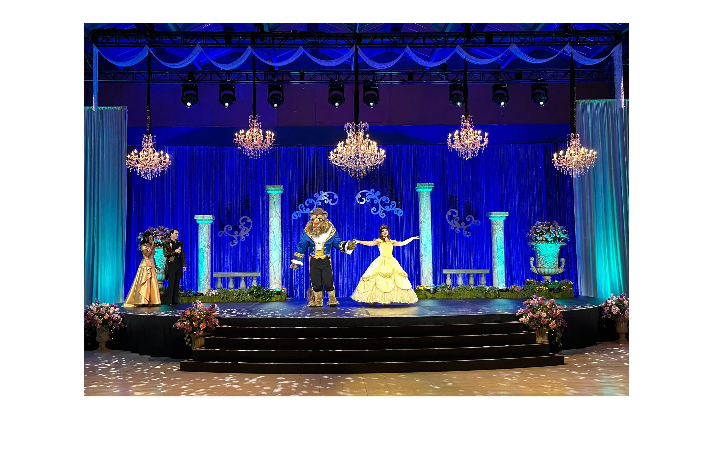 Once Upon a Wish Scenic Package8.jpg