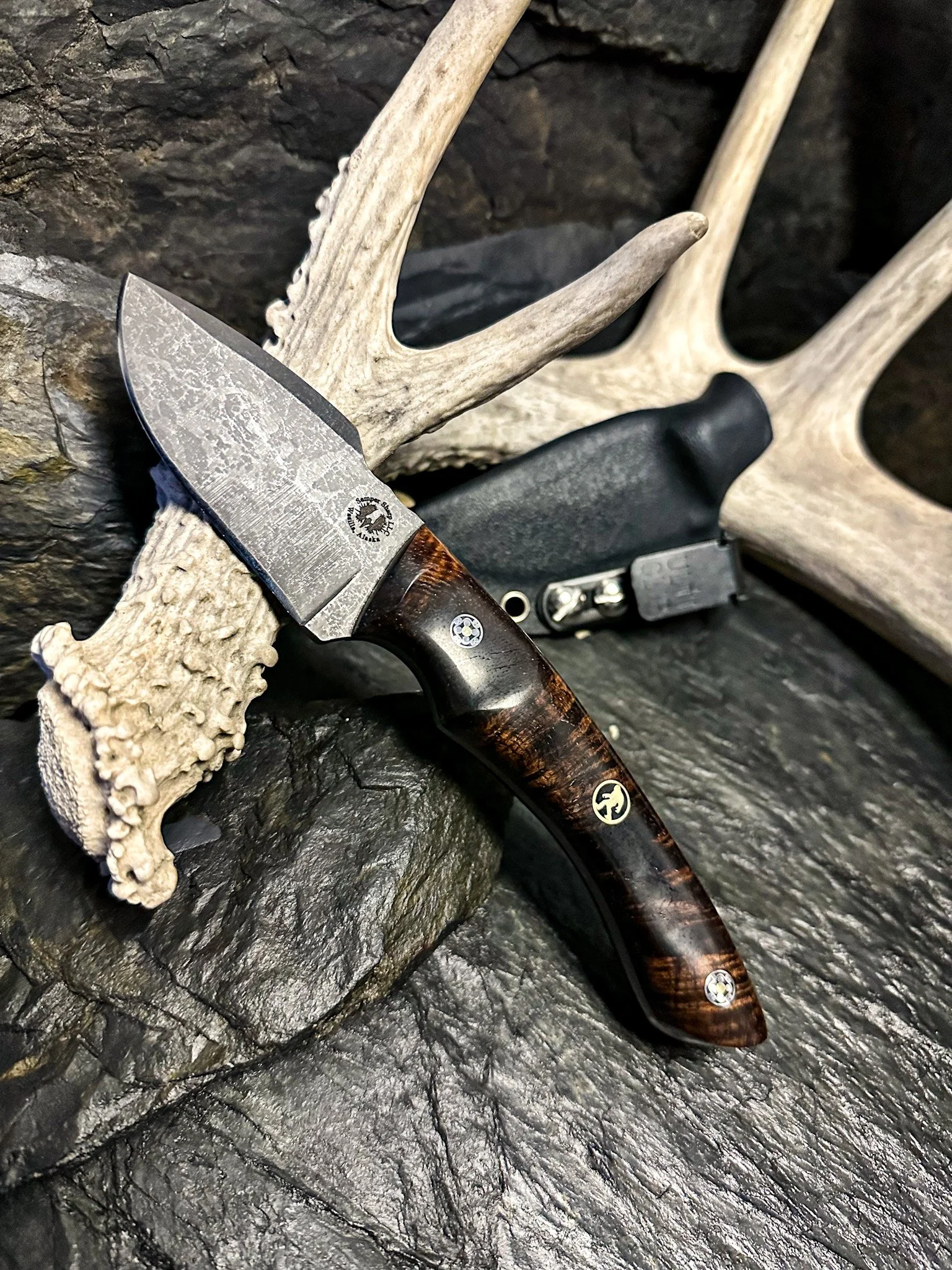 The Feral Hog Knife