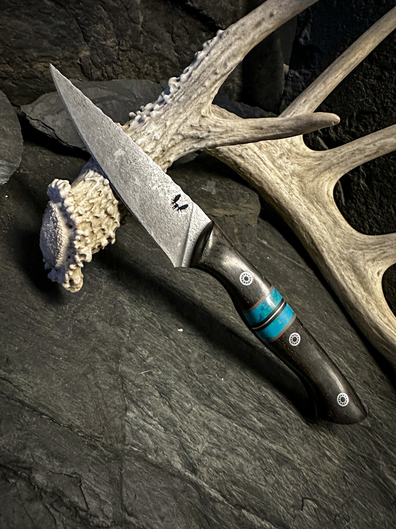 The Paring Knife — Semper Sharp LLC