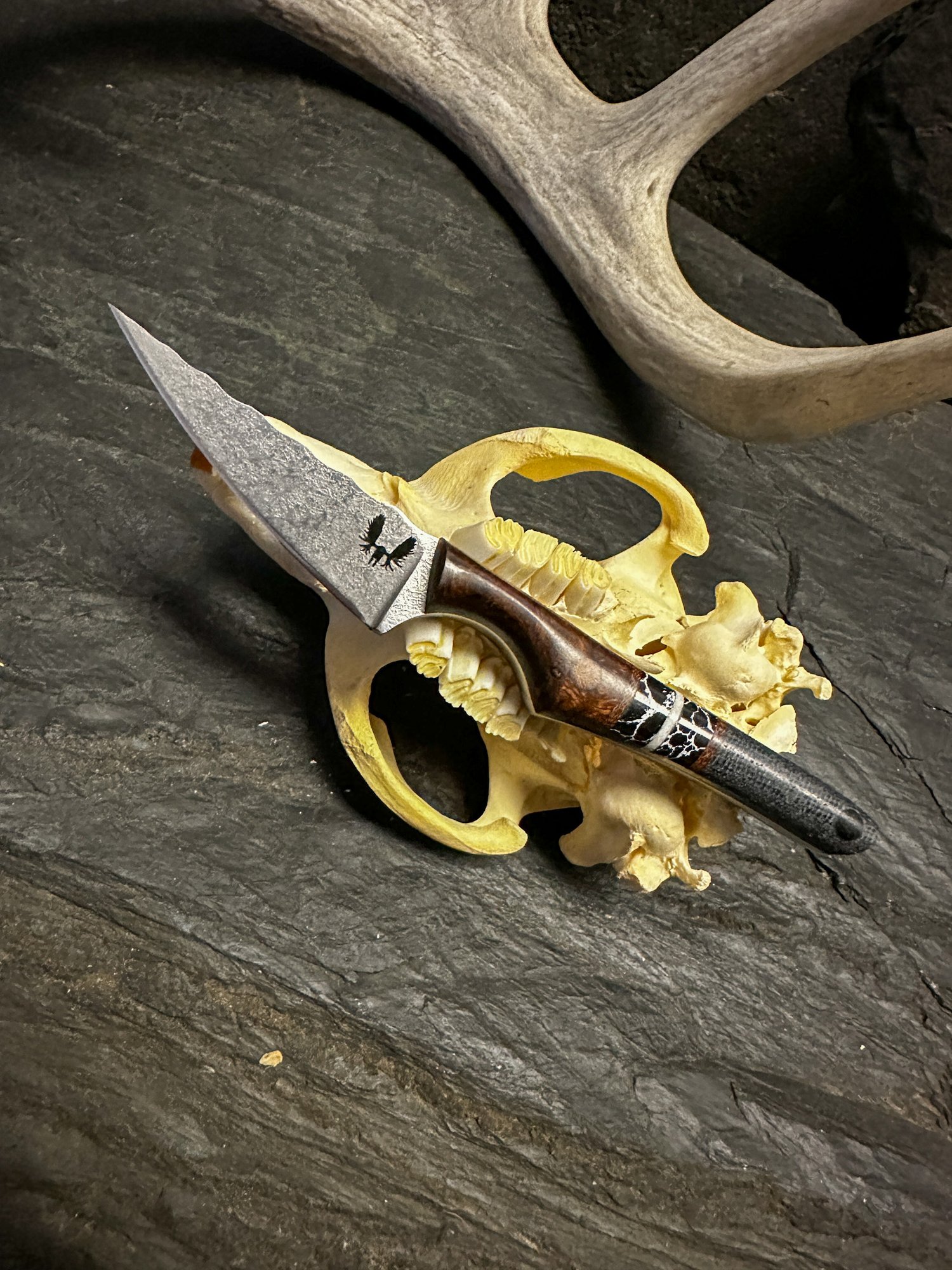 Field Co. No.16 Double-Handled Cast Iron Skillet - Bear Claw Knife & Shear