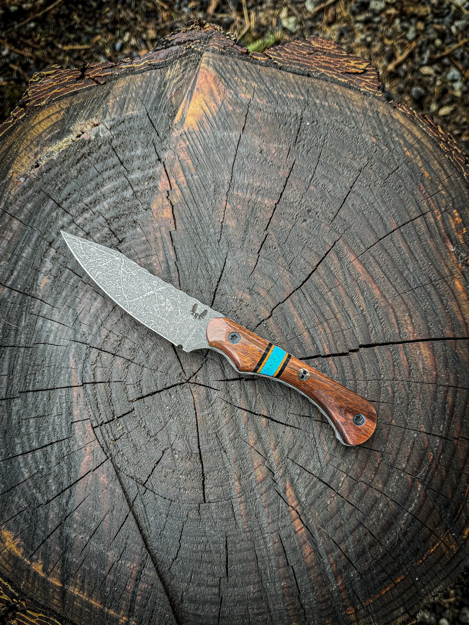 The Field Day Jr Knife