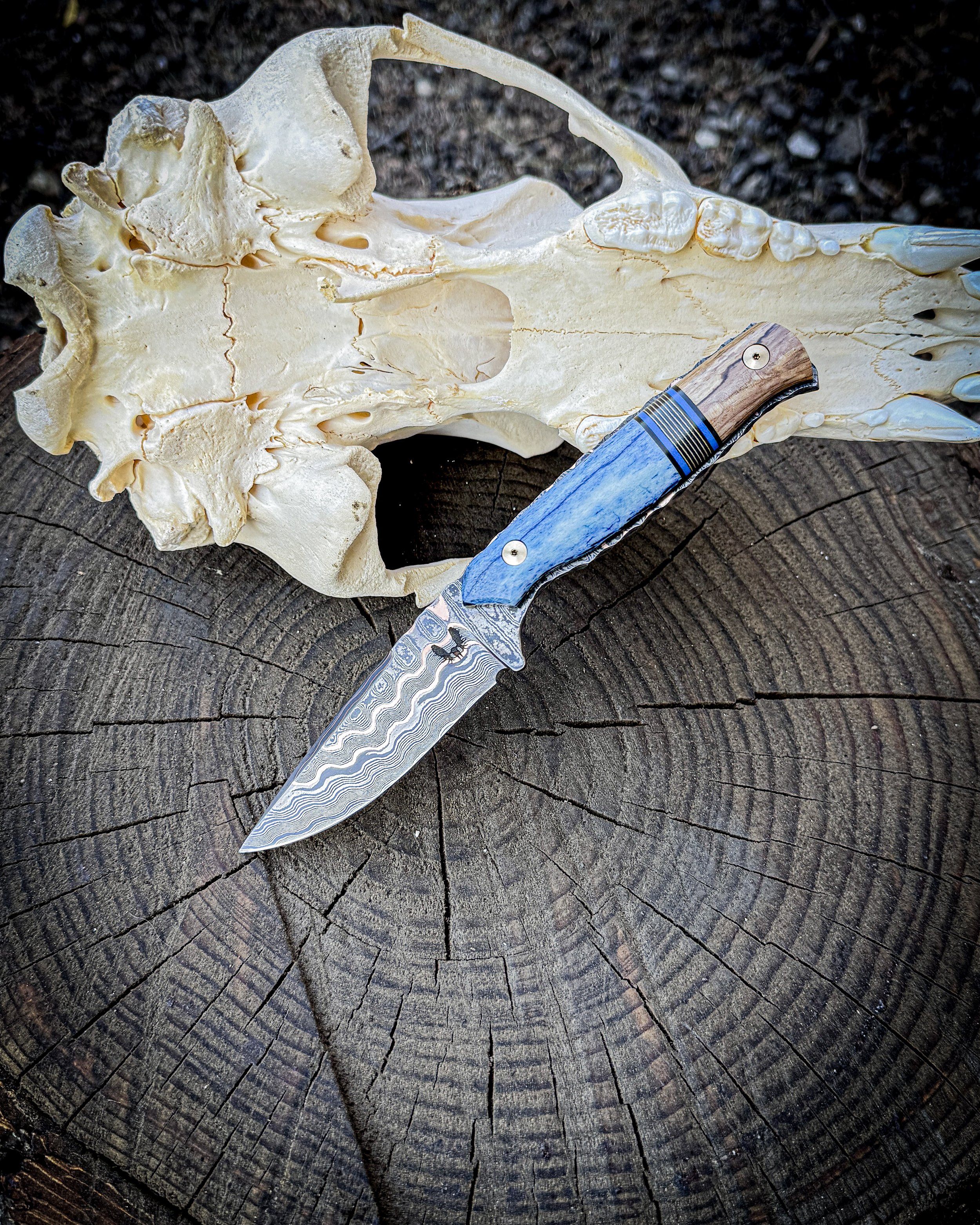 The Mini Outdoorsman EDC Knife