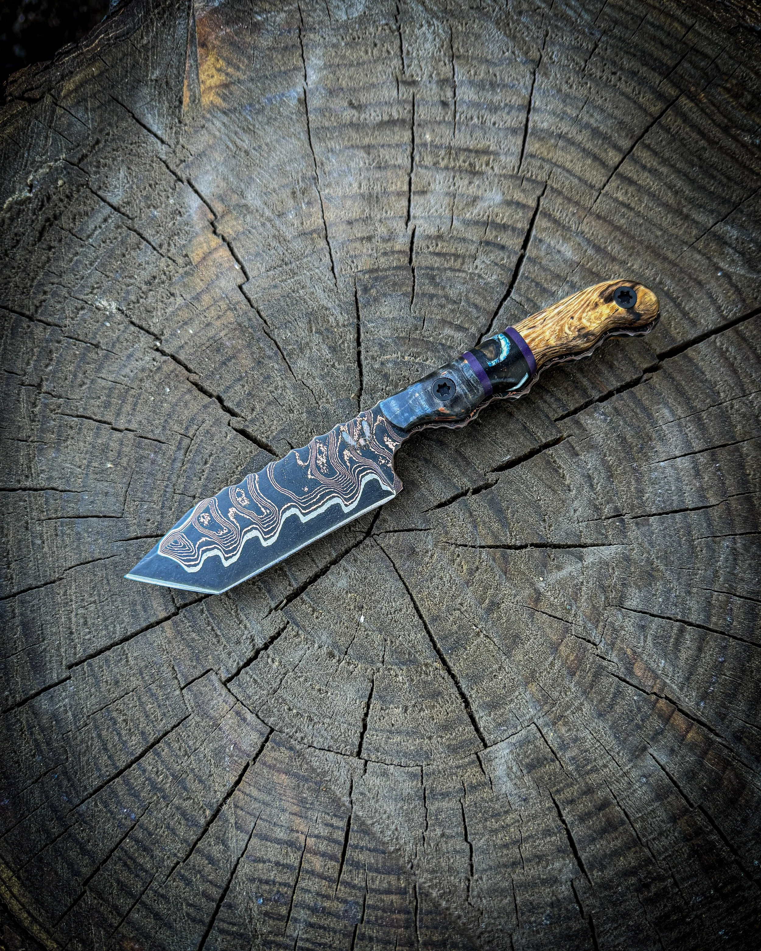 The Damacus Compact EDC Tanto Knife