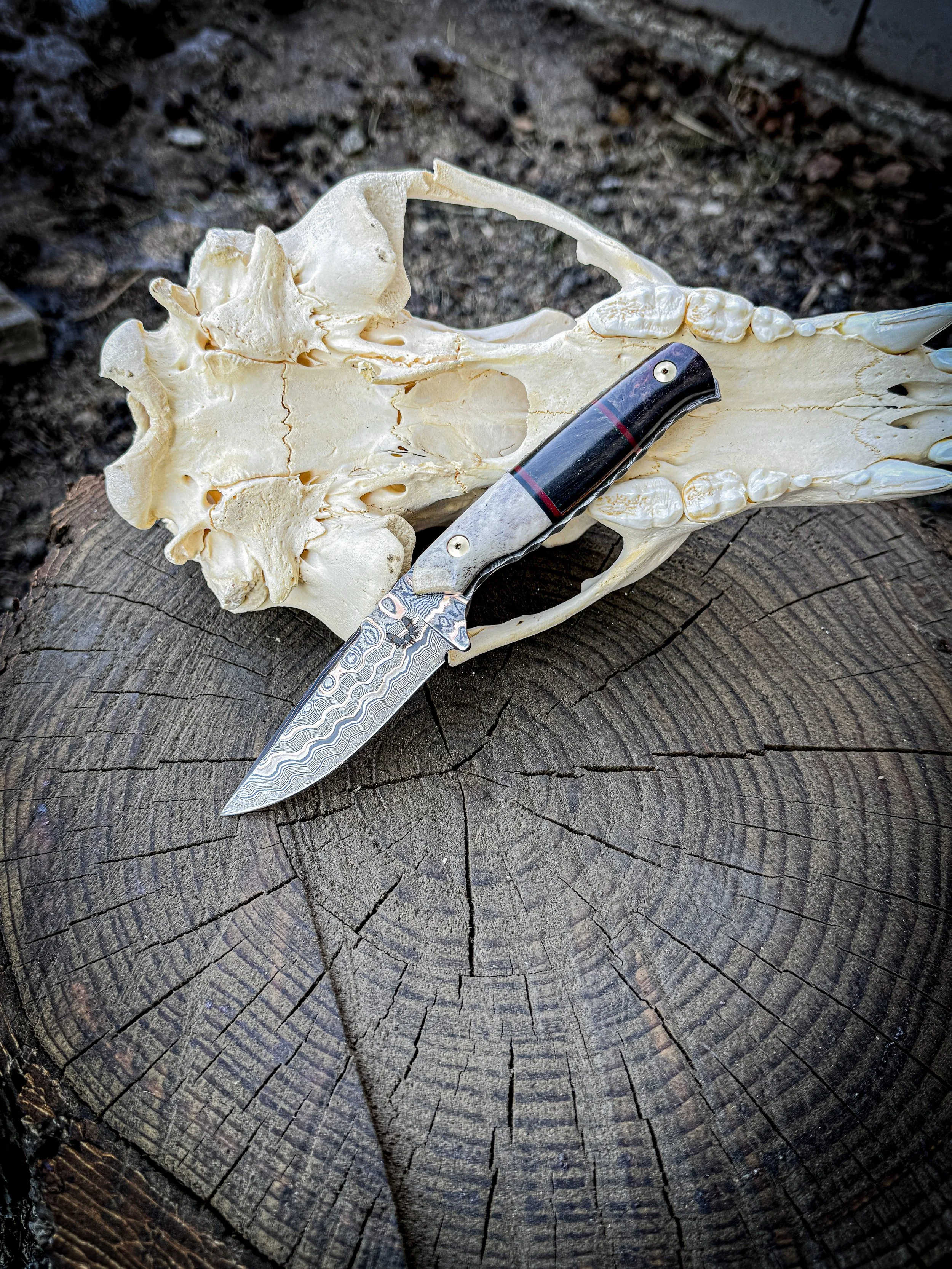The Mini Outdoorsman EDC Knife