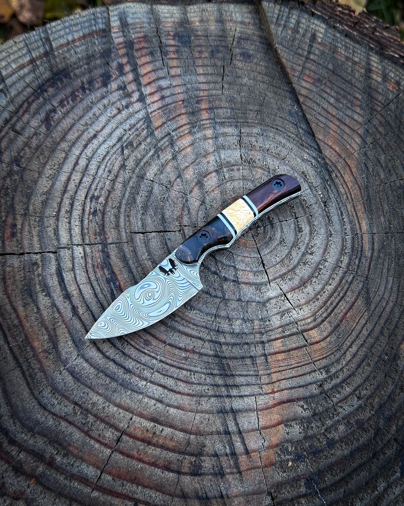 The Damascus Piglet