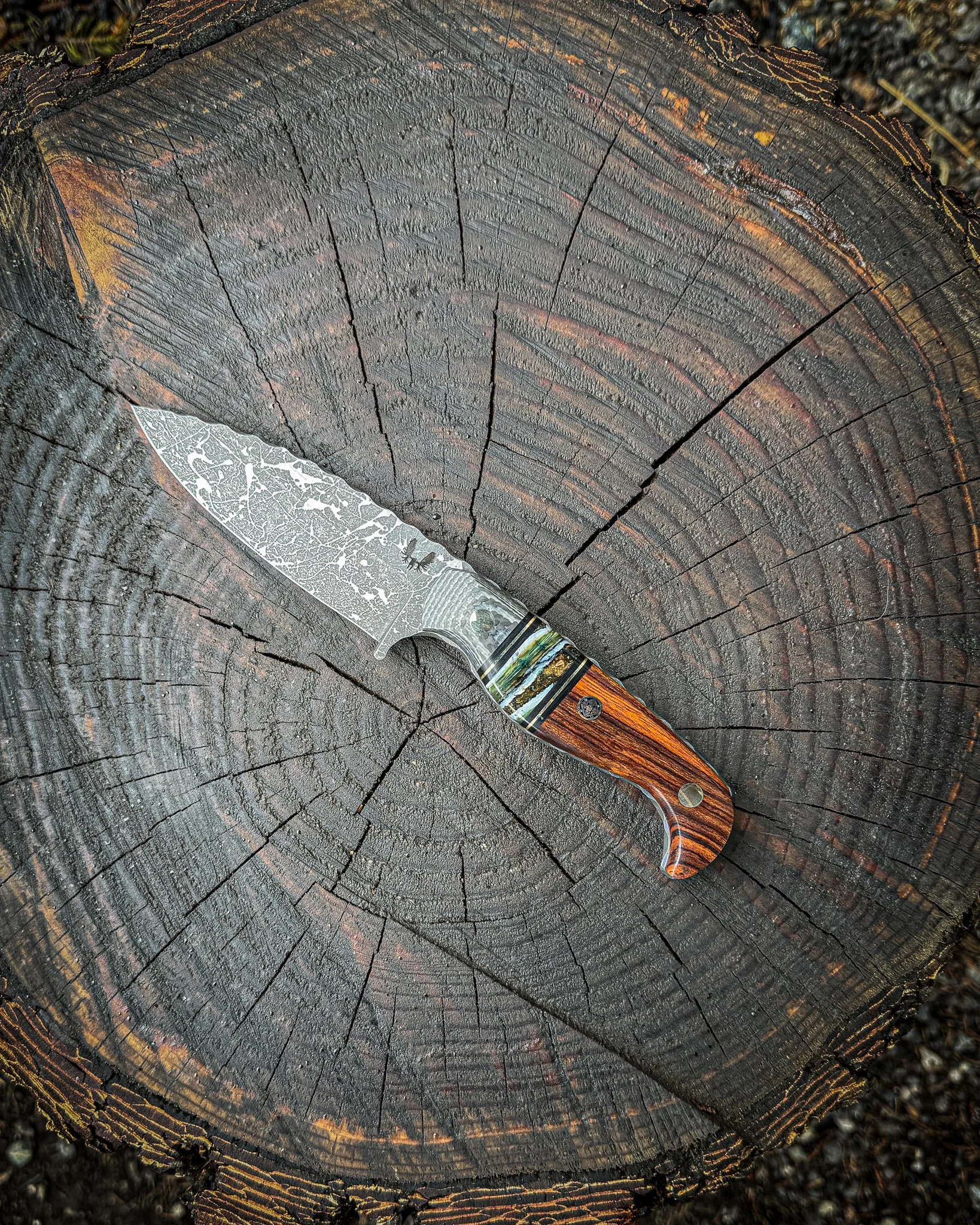 The Kudu Knife #1